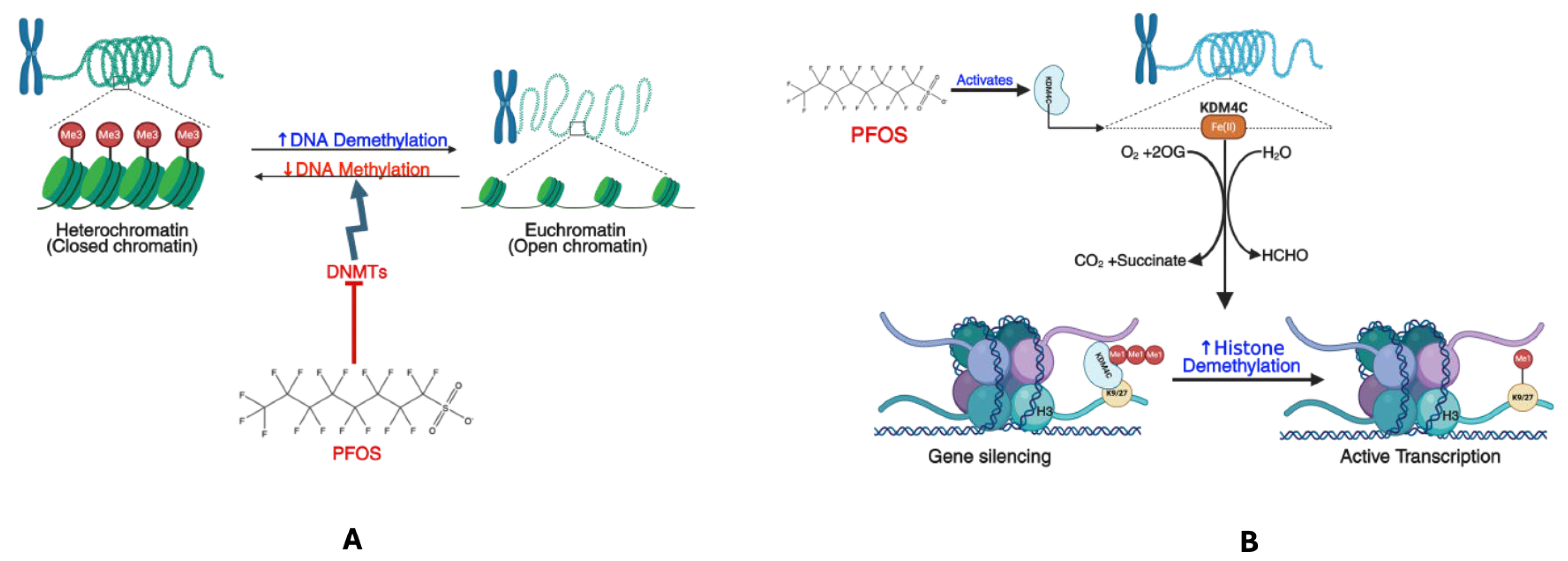 Cancers 17 03507 g008 Cancers 17 03507 g008