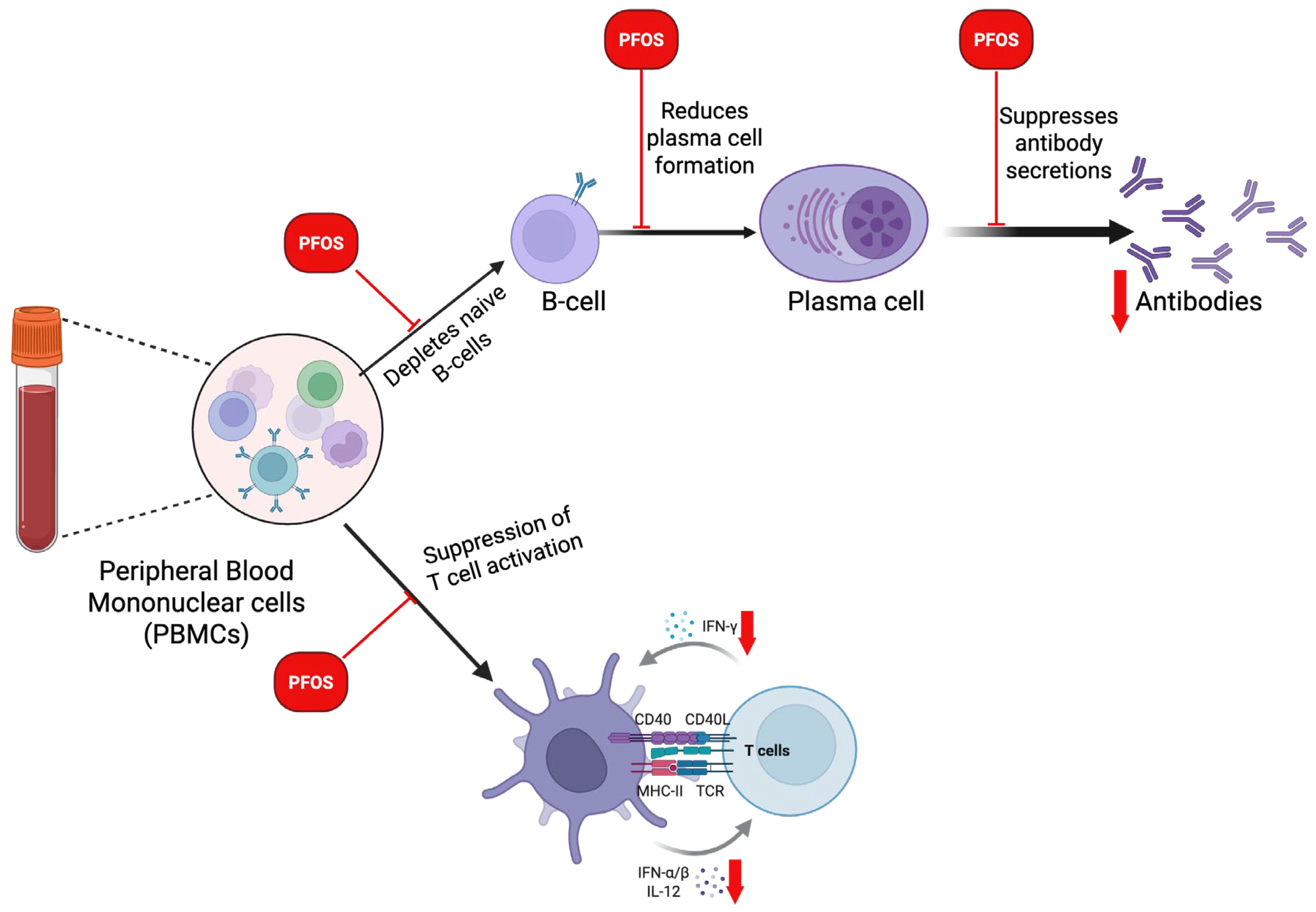 Cancers 17 03507 g010 Cancers 17 03507 g010