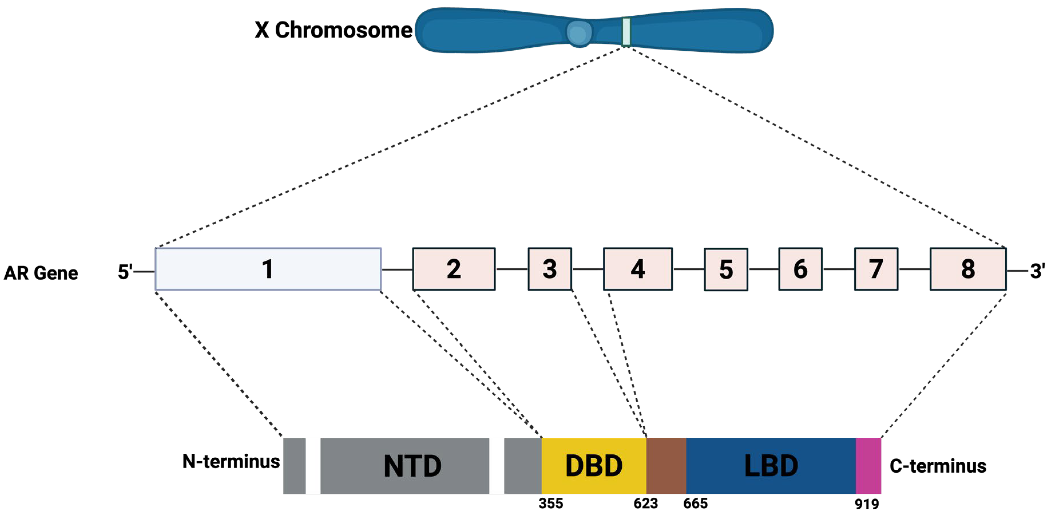 Cancers 17 03507 g011 Cancers 17 03507 g011