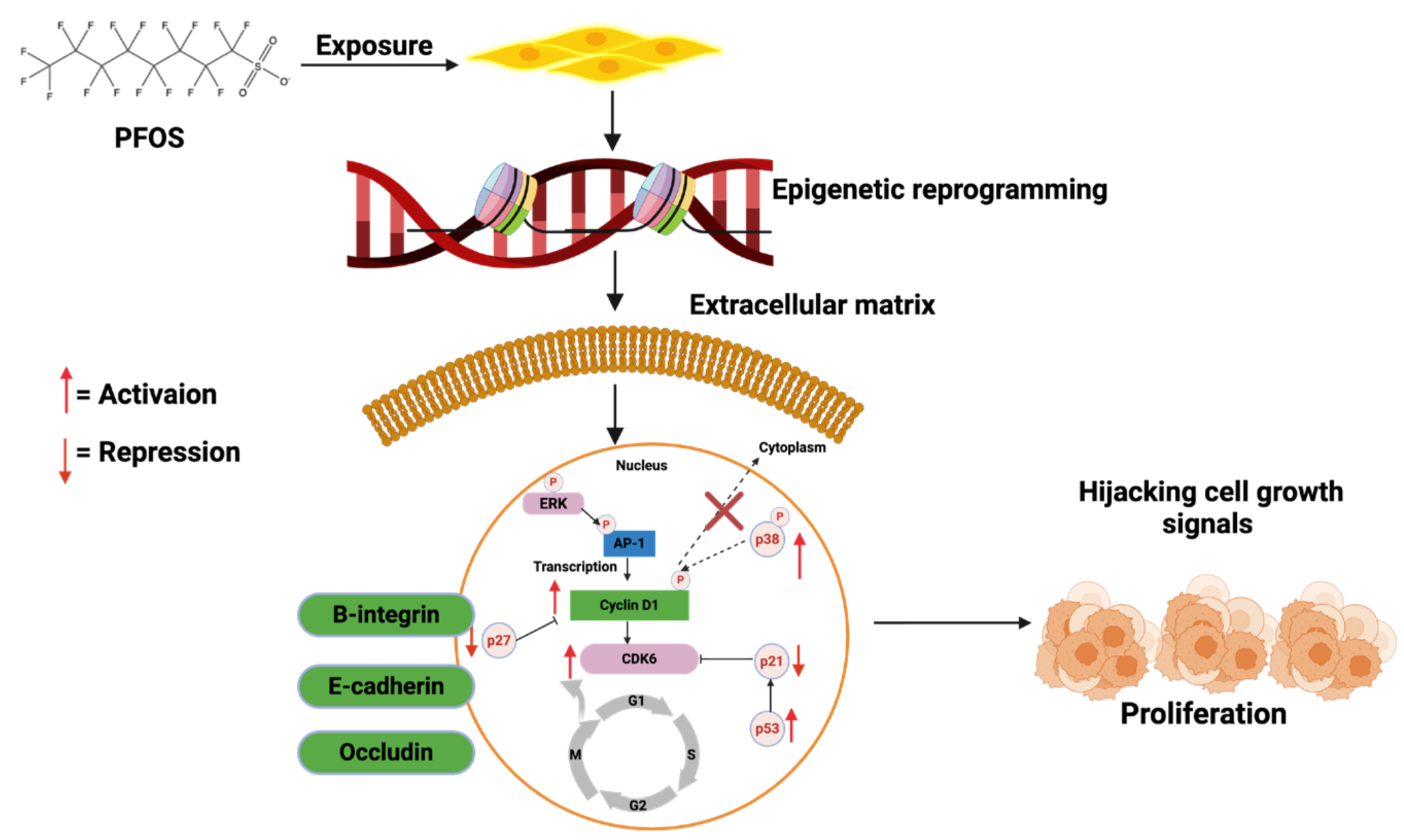 Cancers 17 03507 g014 Cancers 17 03507 g014