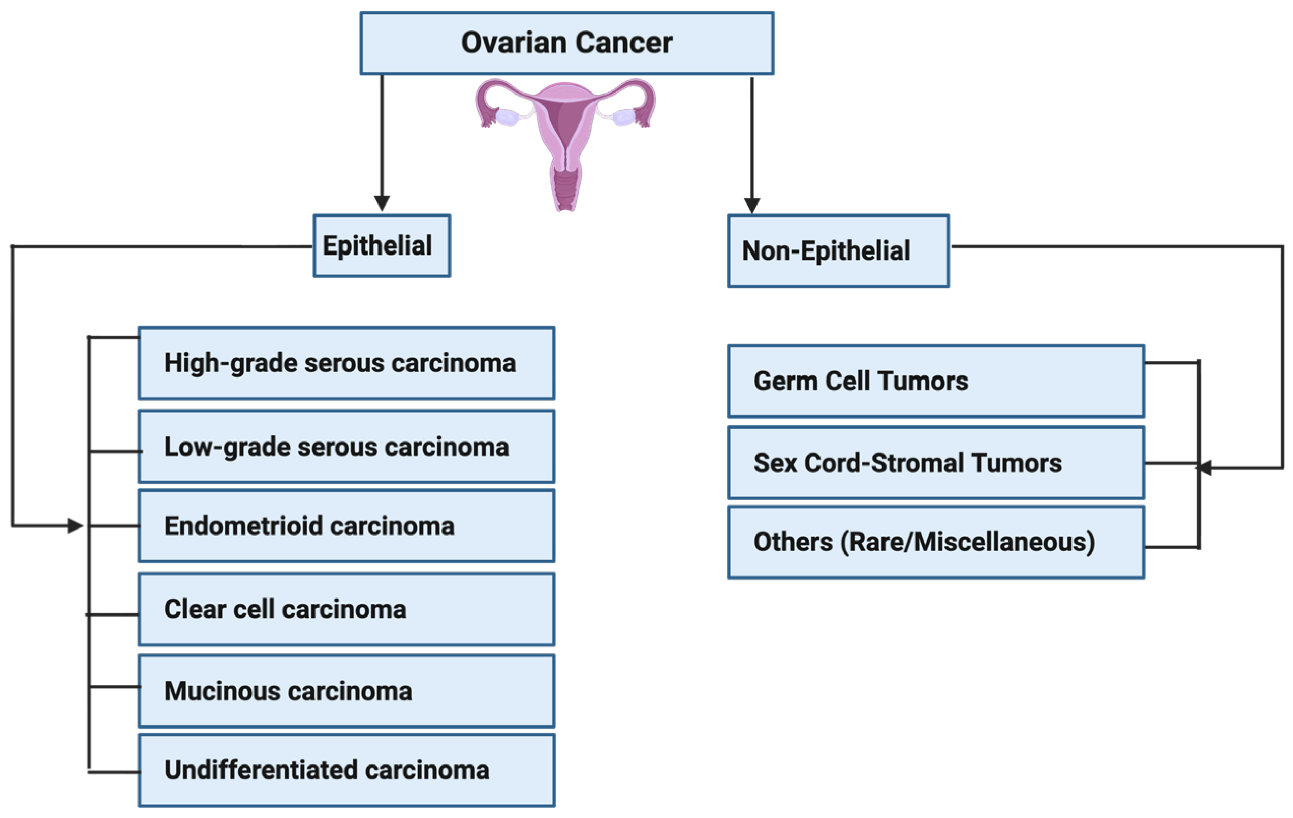 Cancers 17 03507 g015 Cancers 17 03507 g015