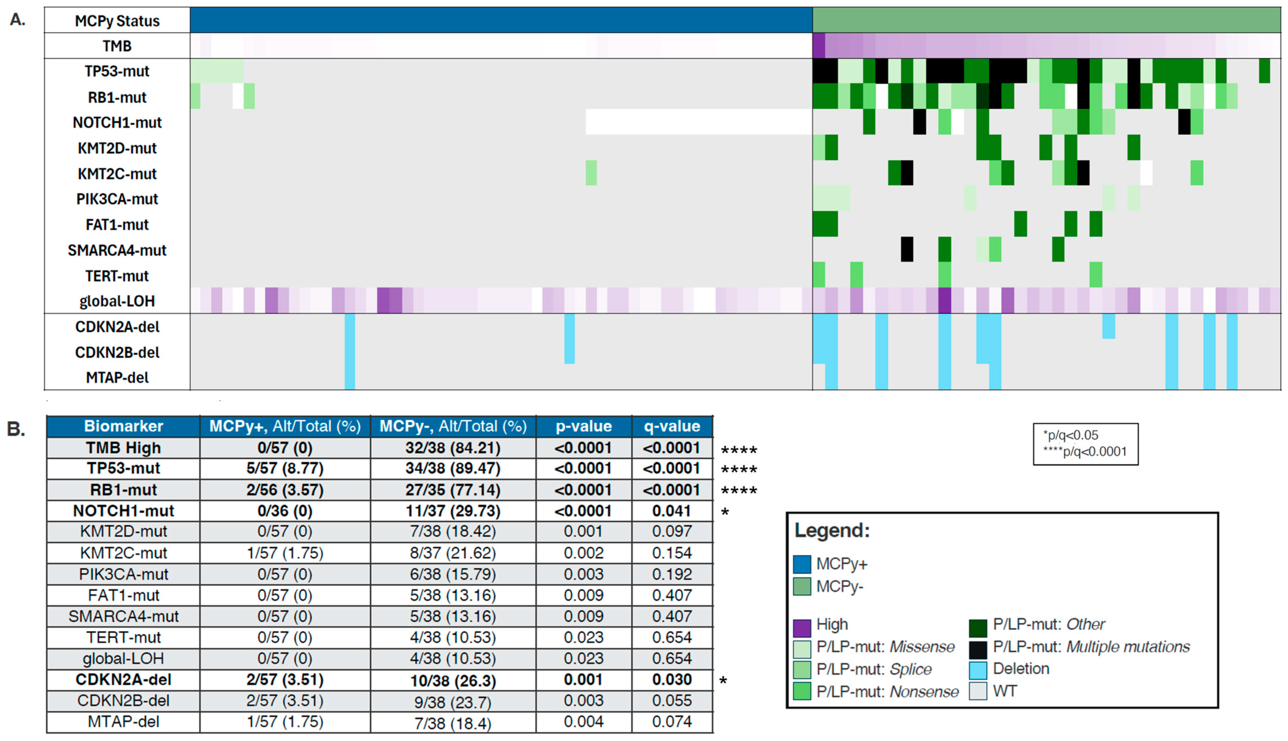 Cancers 17 03508 g001