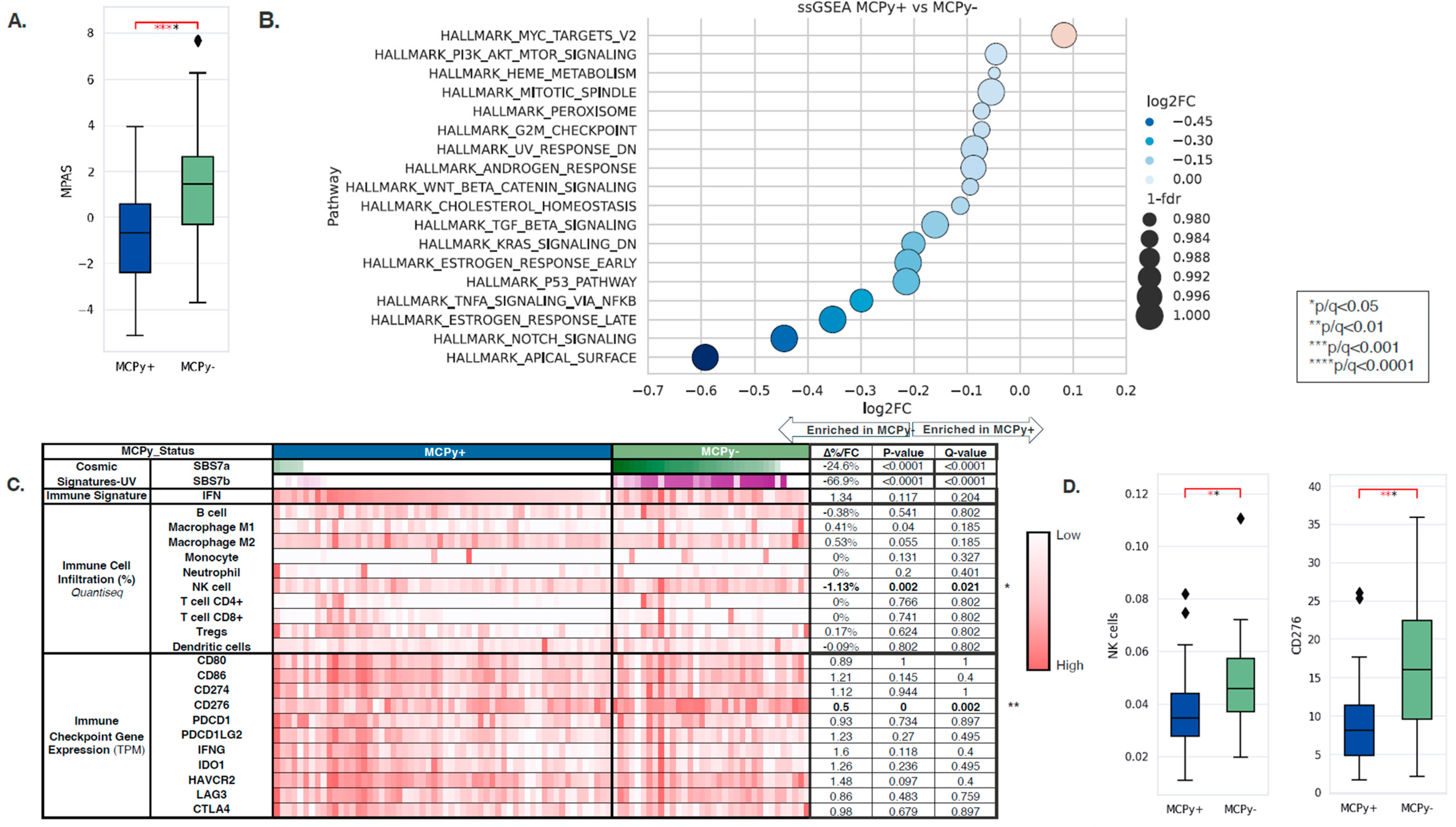 Cancers 17 03508 g002