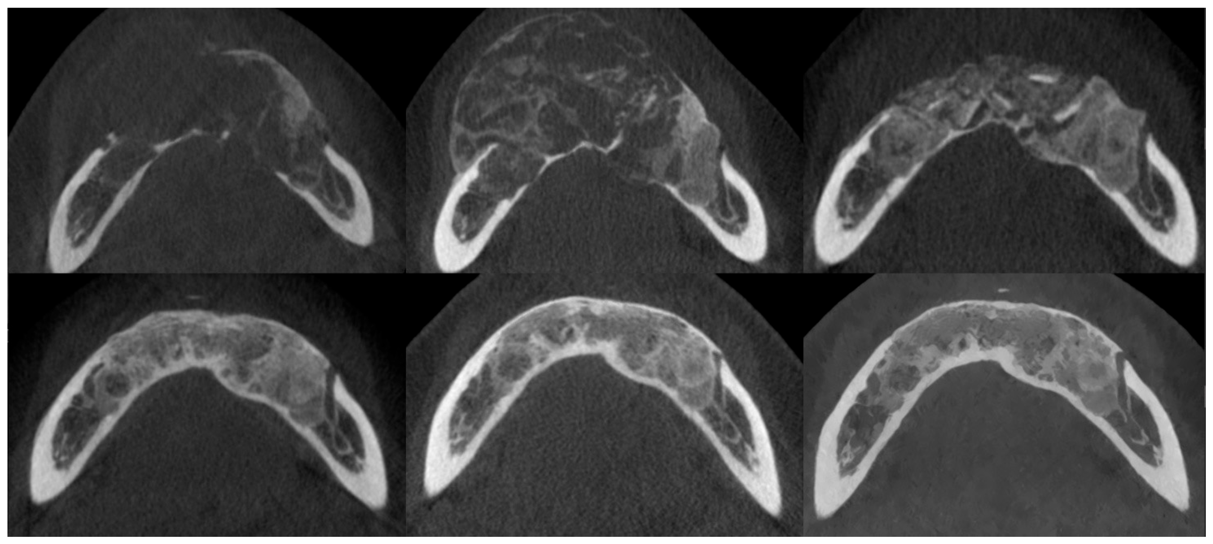 Cancers 17 03510 g007