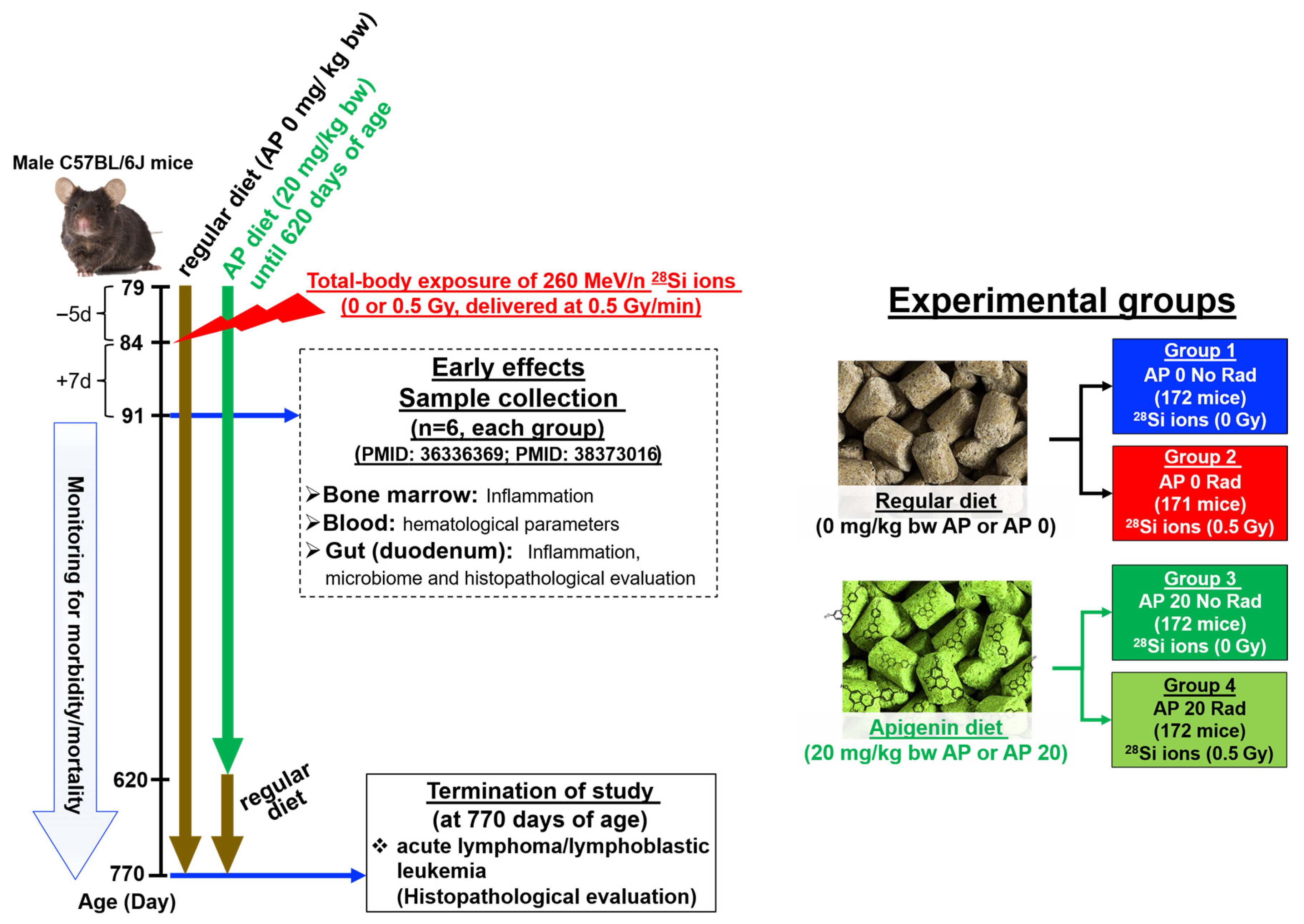 Cancers 17 03513 g002