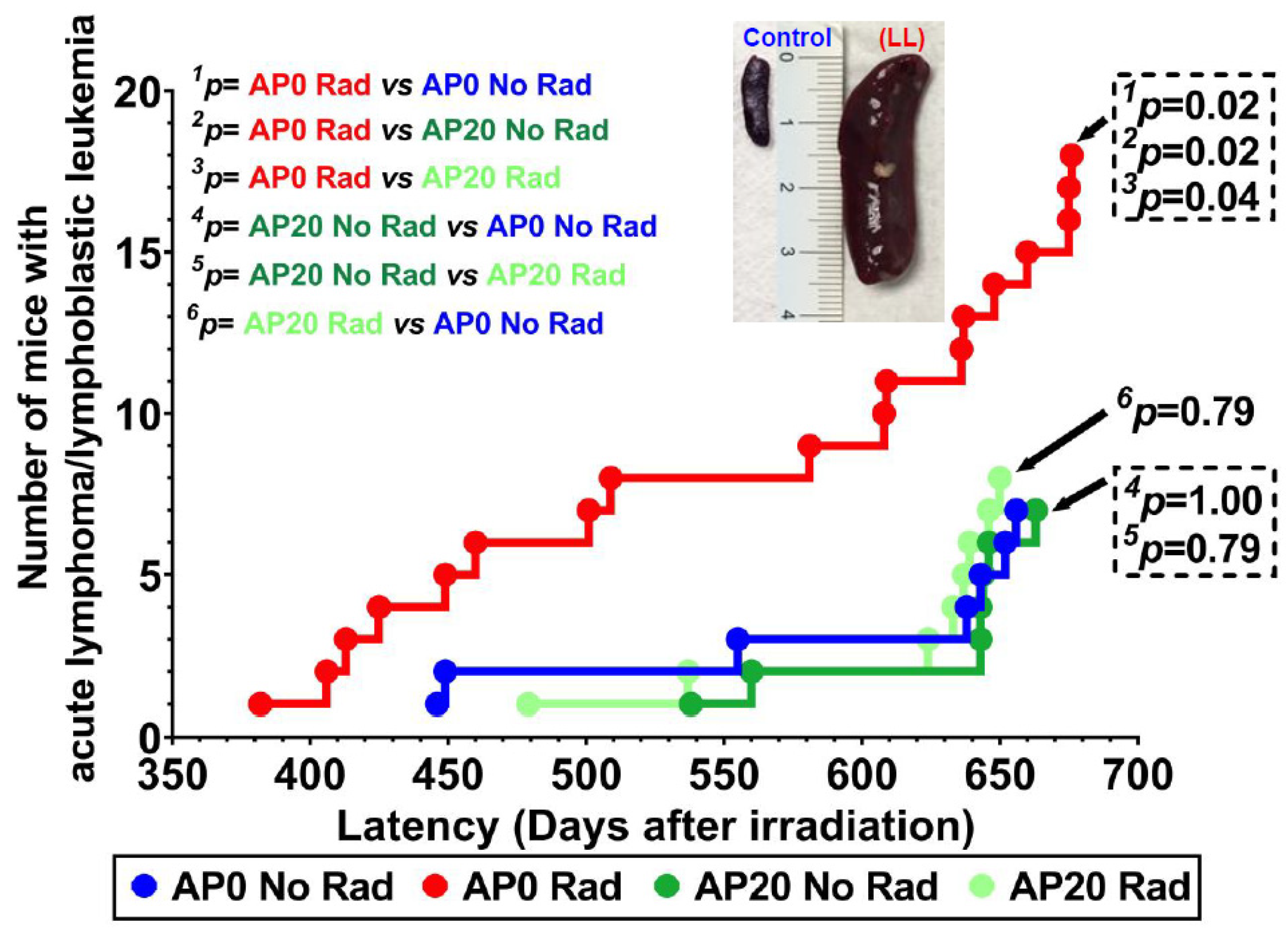 Cancers 17 03513 g005