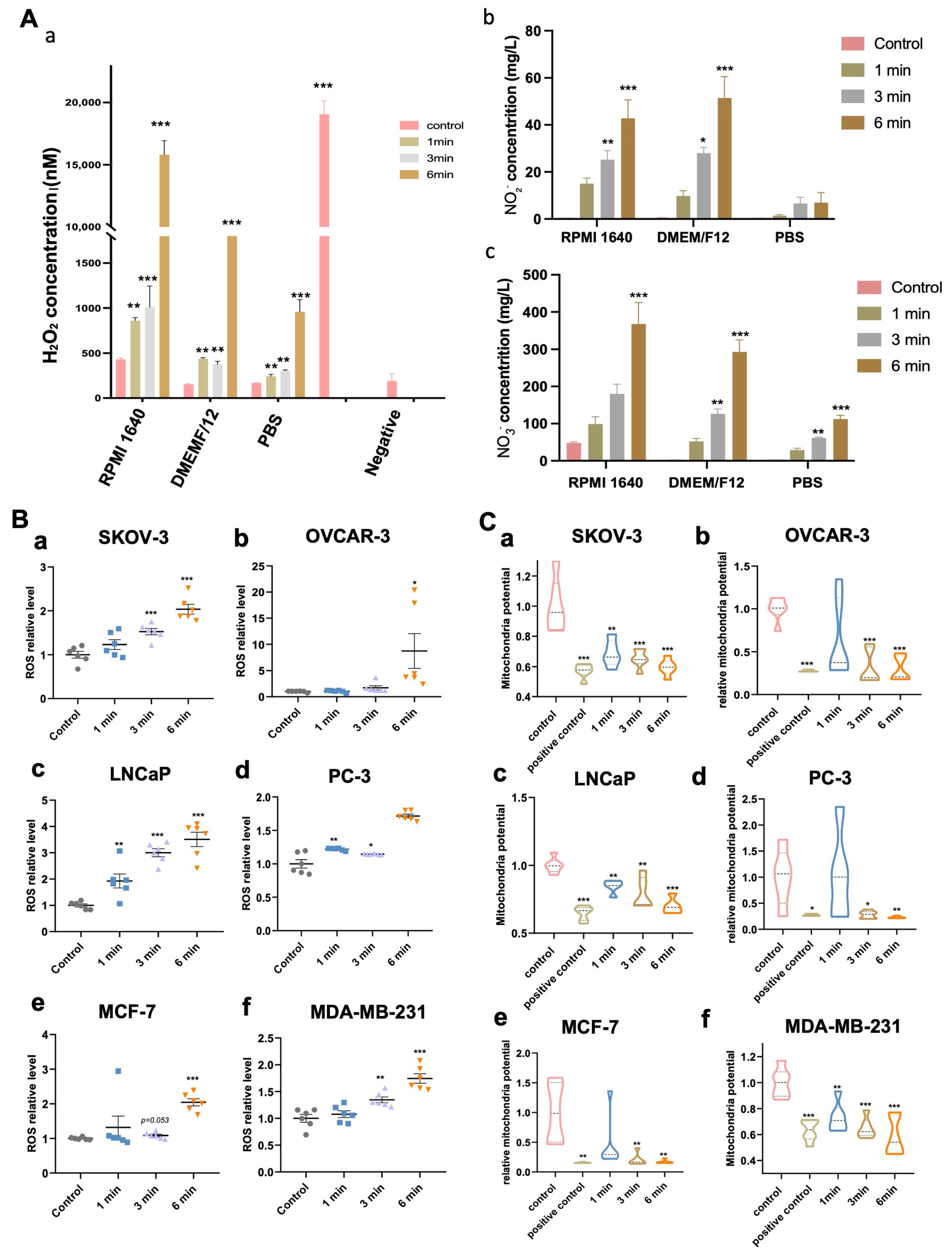 Cancers 17 03517 g002