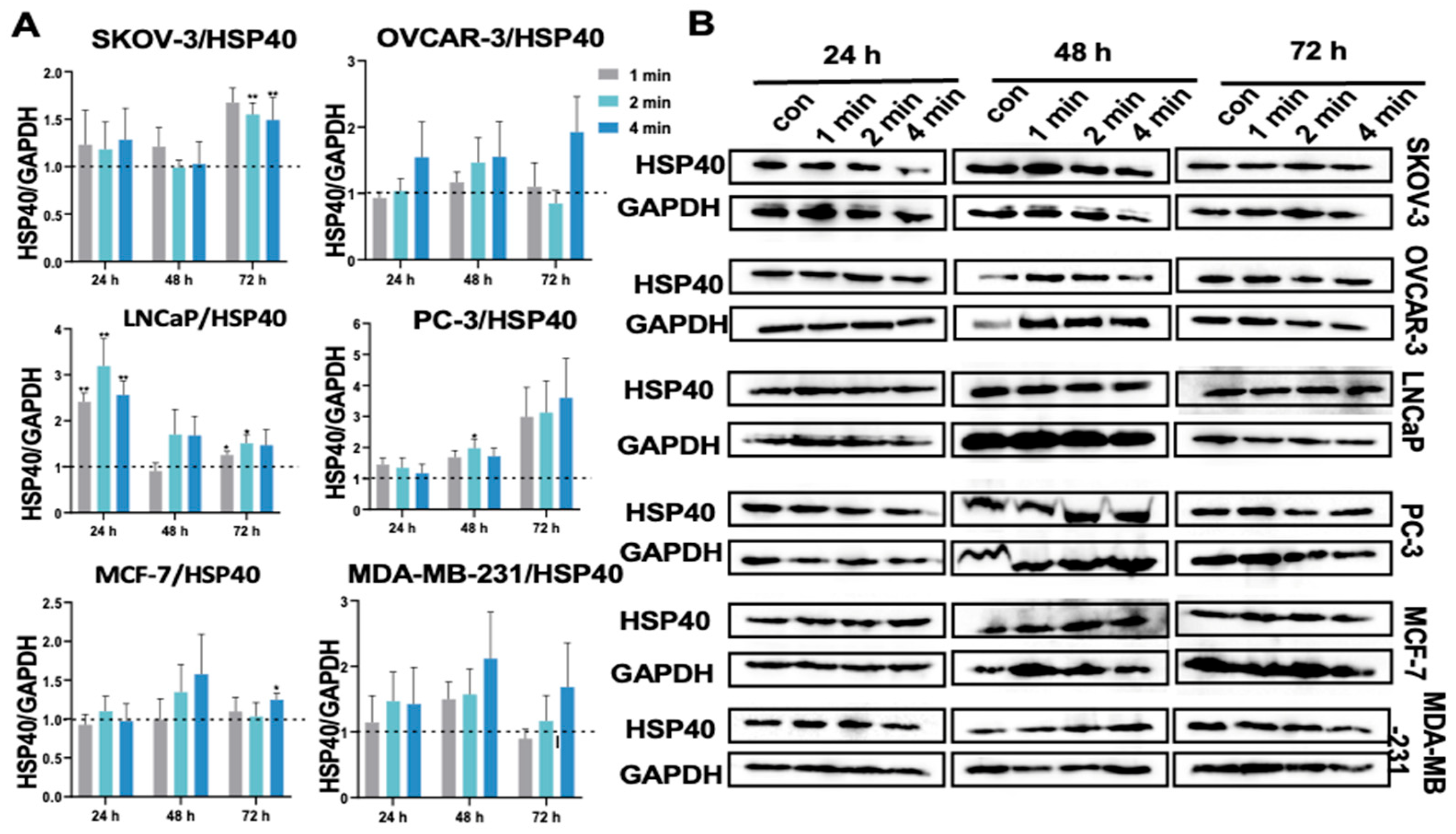 Cancers 17 03517 g007