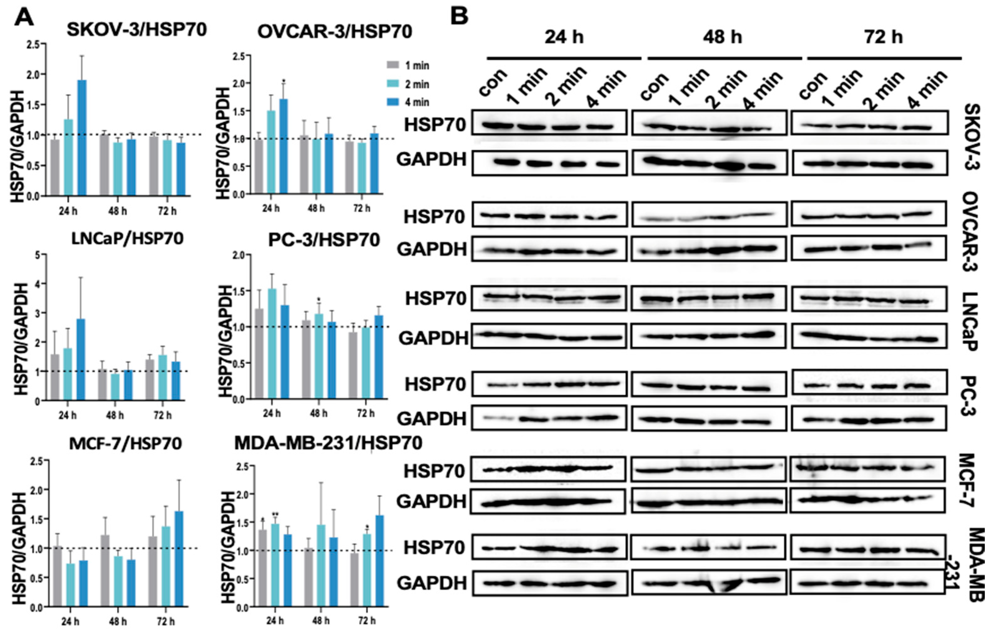Cancers 17 03517 g008
