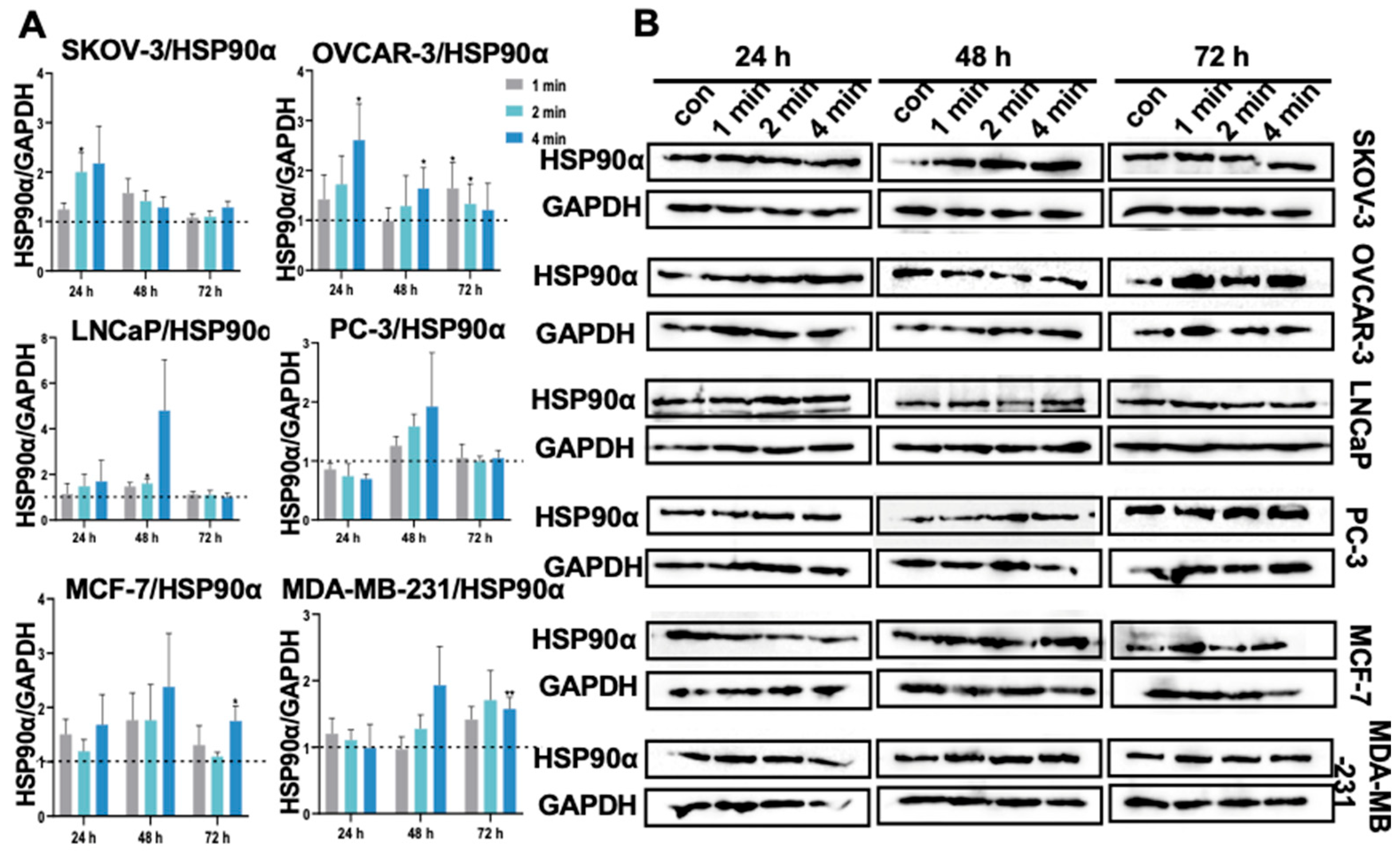Cancers 17 03517 g009