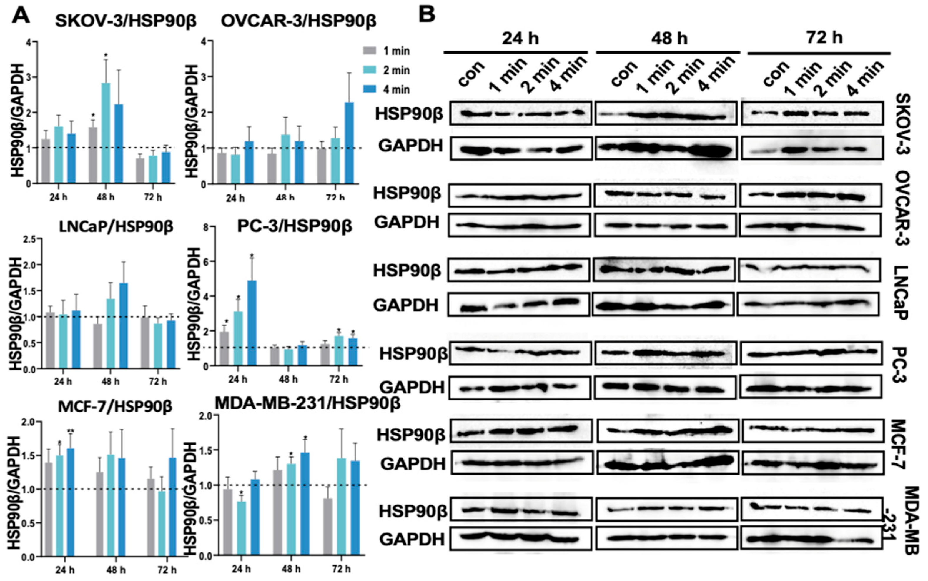 Cancers 17 03517 g010
