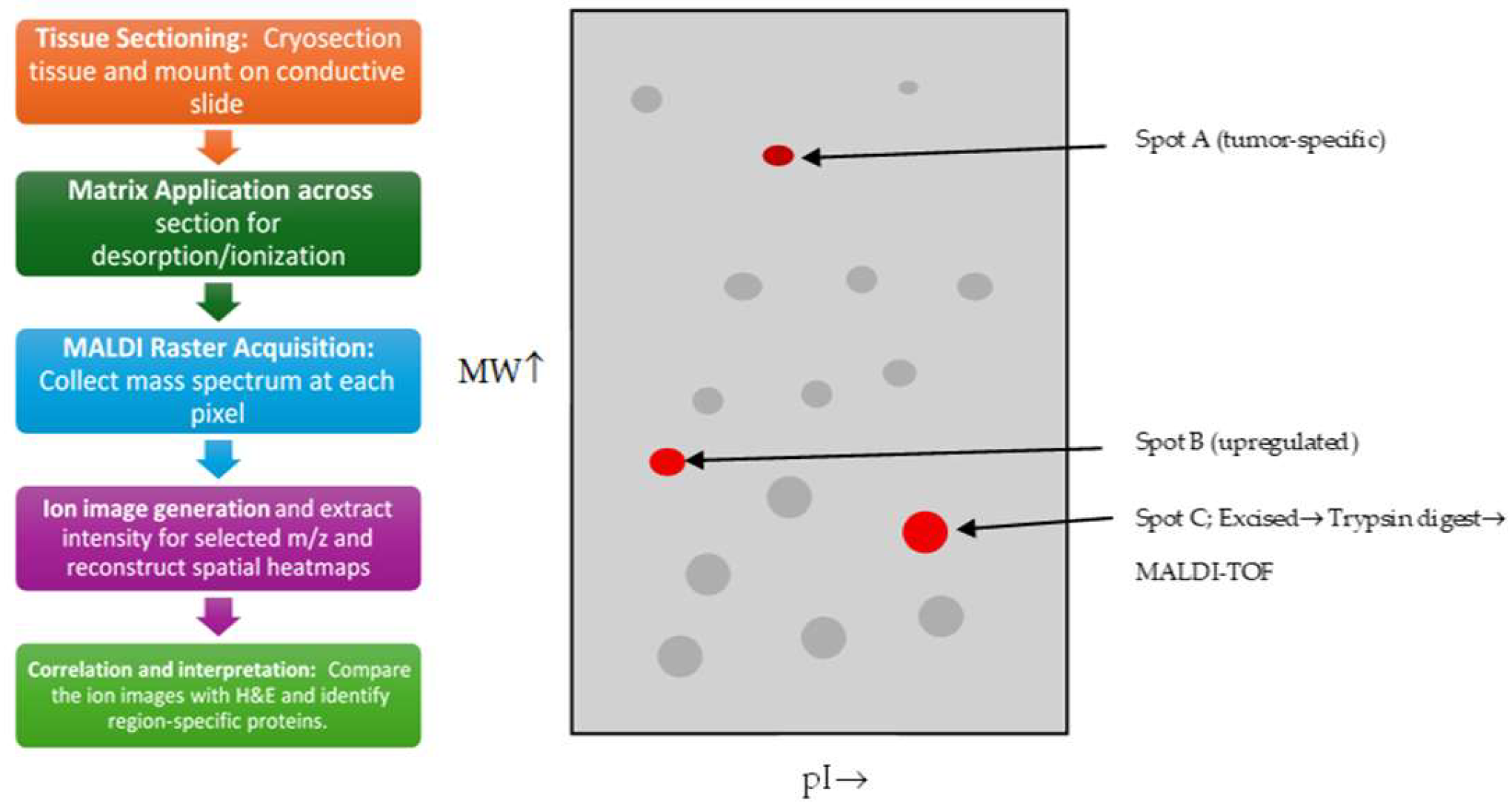 Cancers 17 03524 g003 Cancers 17 03524 g003