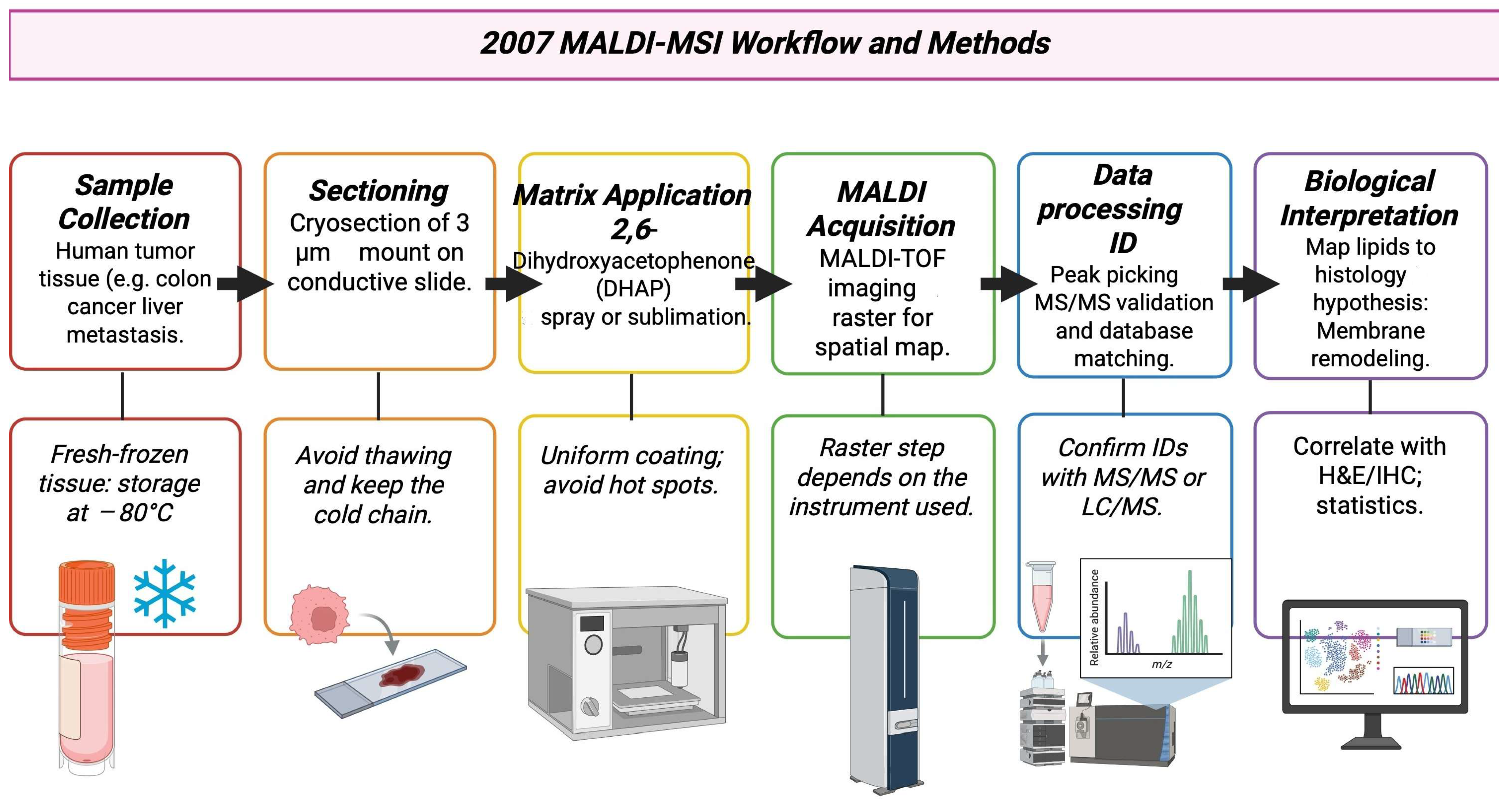 Cancers 17 03524 g009