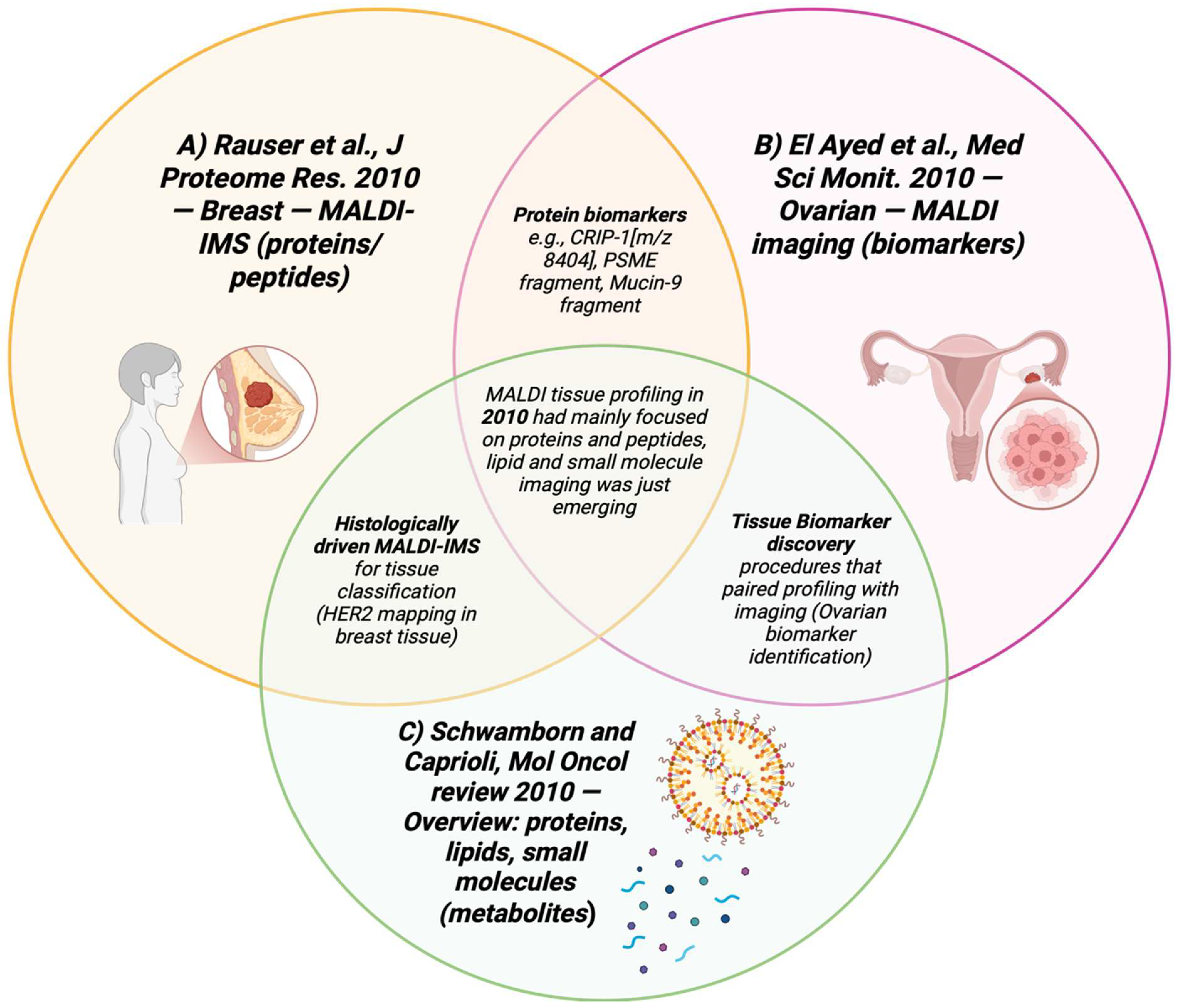 Cancers 17 03524 g012