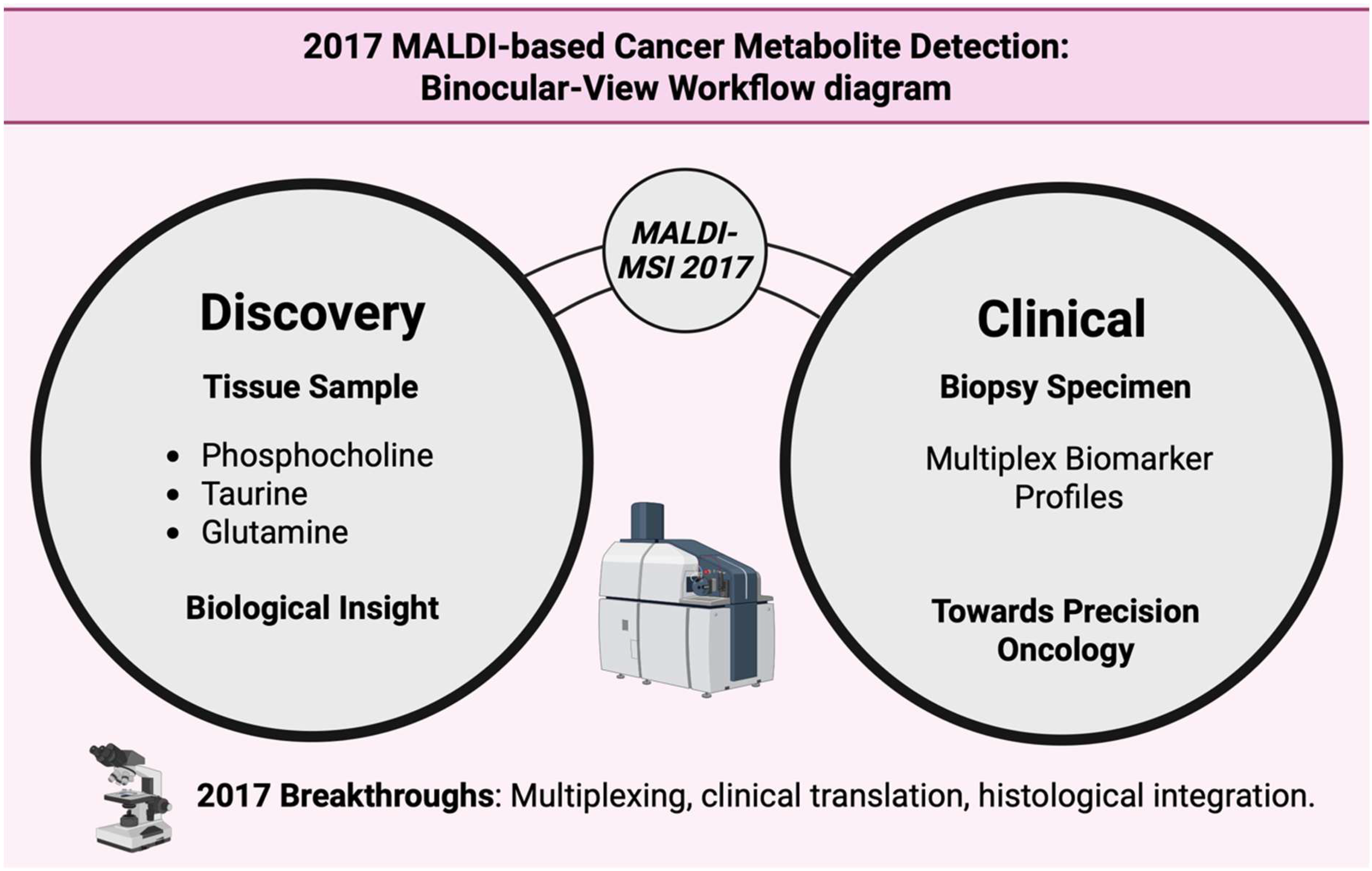 Cancers 17 03524 g019 Cancers 17 03524 g019