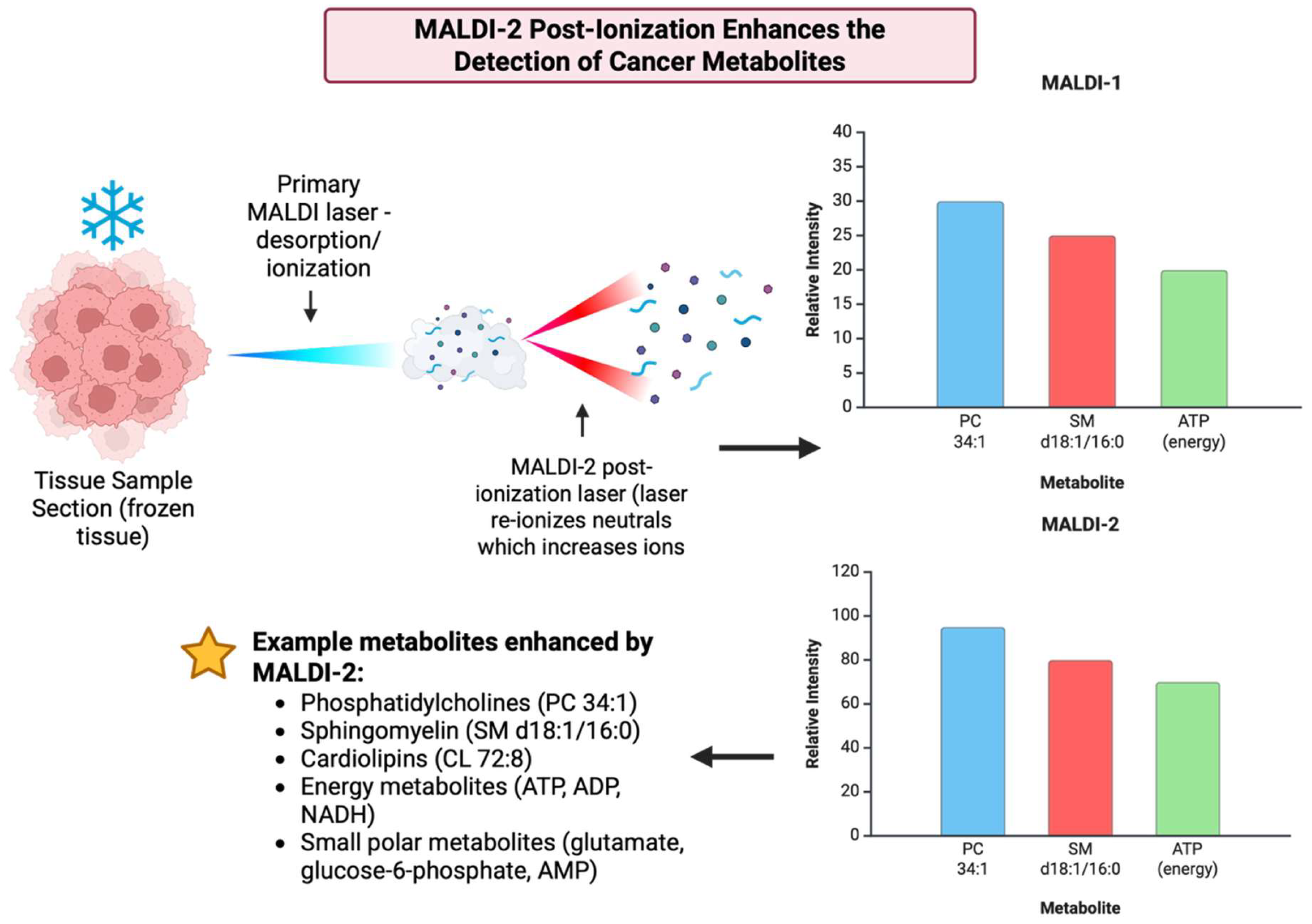 Cancers 17 03524 g025 Cancers 17 03524 g025