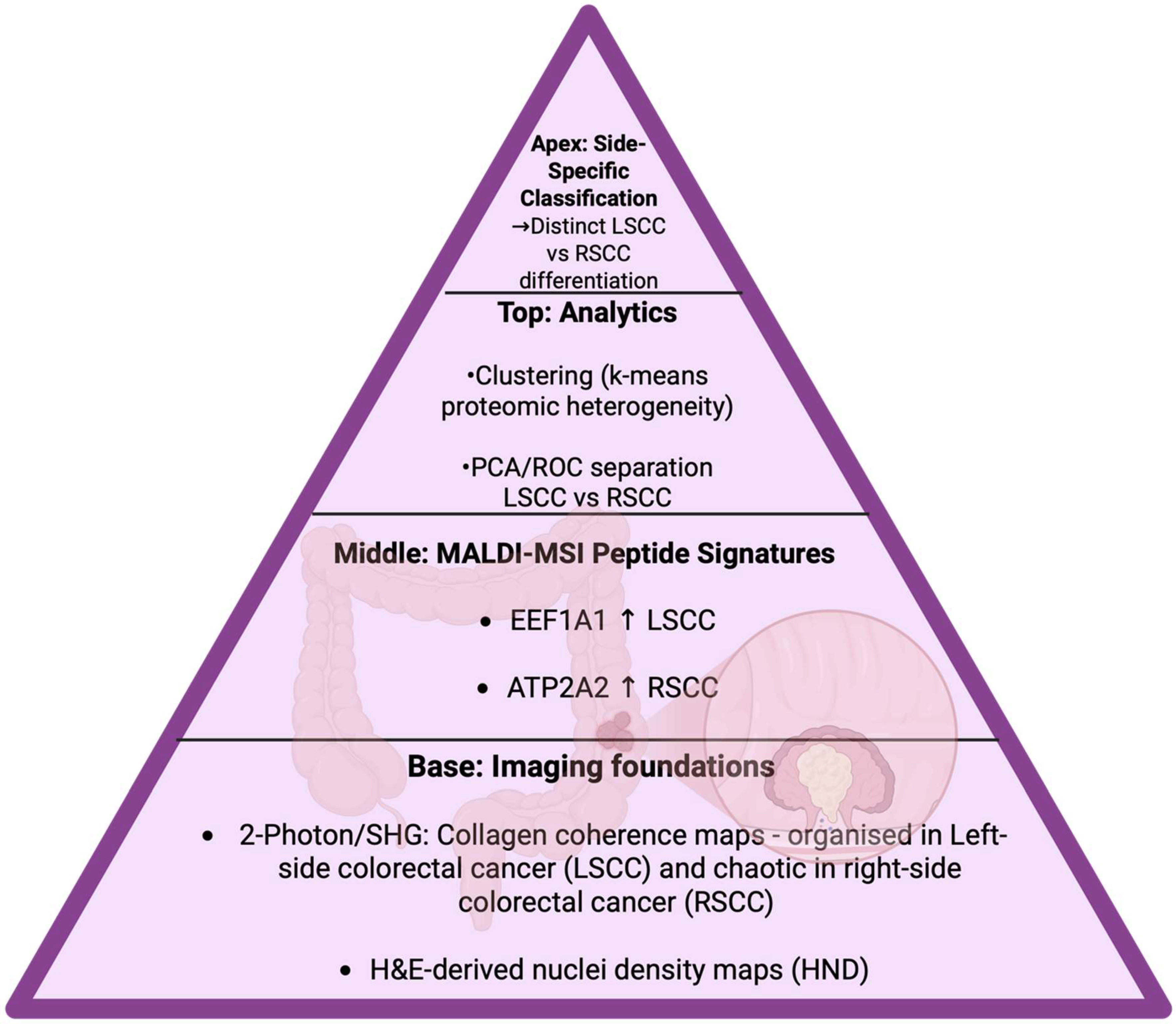 Cancers 17 03524 g026