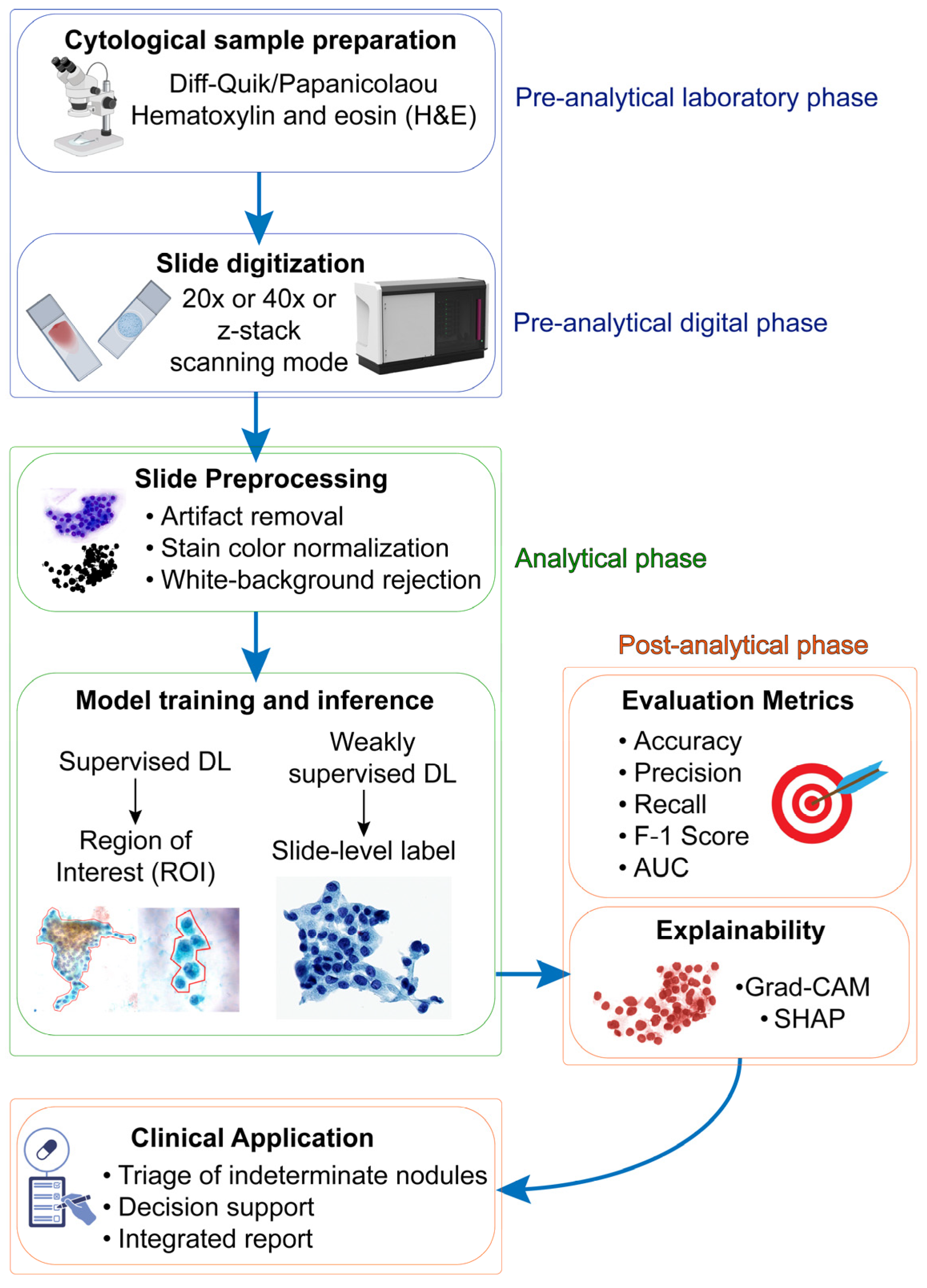 Cancers 17 03525 g001