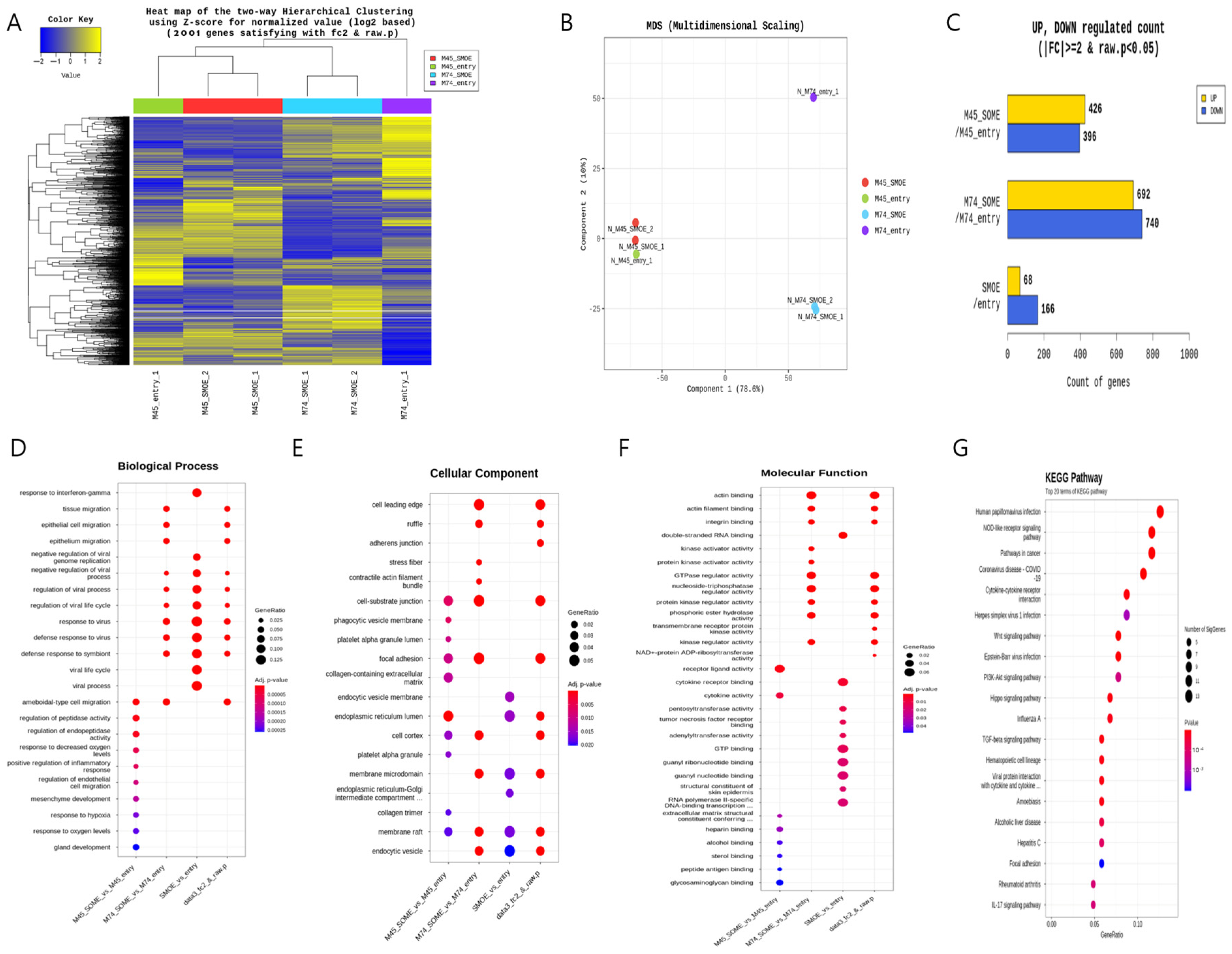 Cancers 17 03526 g001 Cancers 17 03526 g001