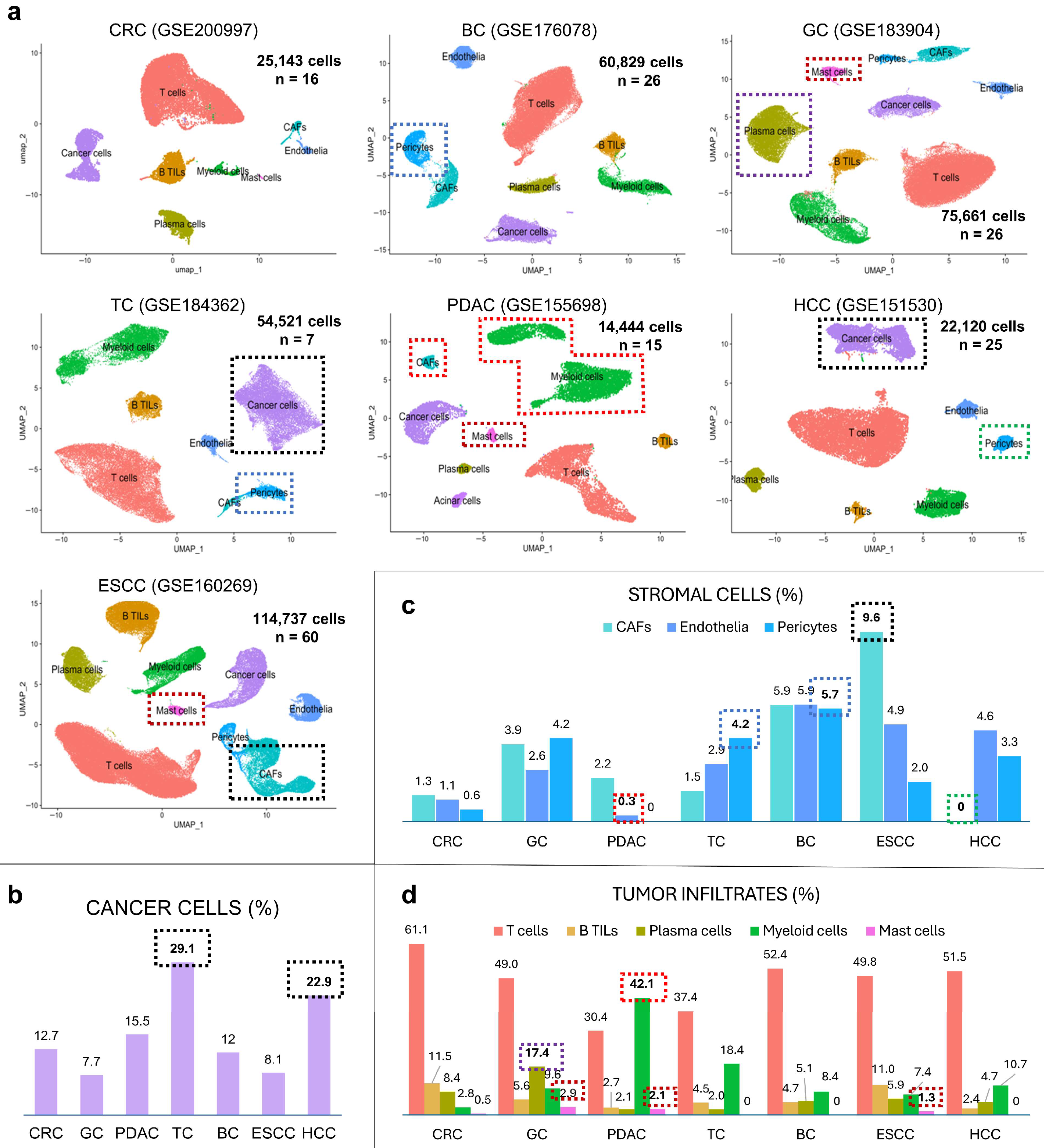 Cancers 17 03527 g001 Cancers 17 03527 g001