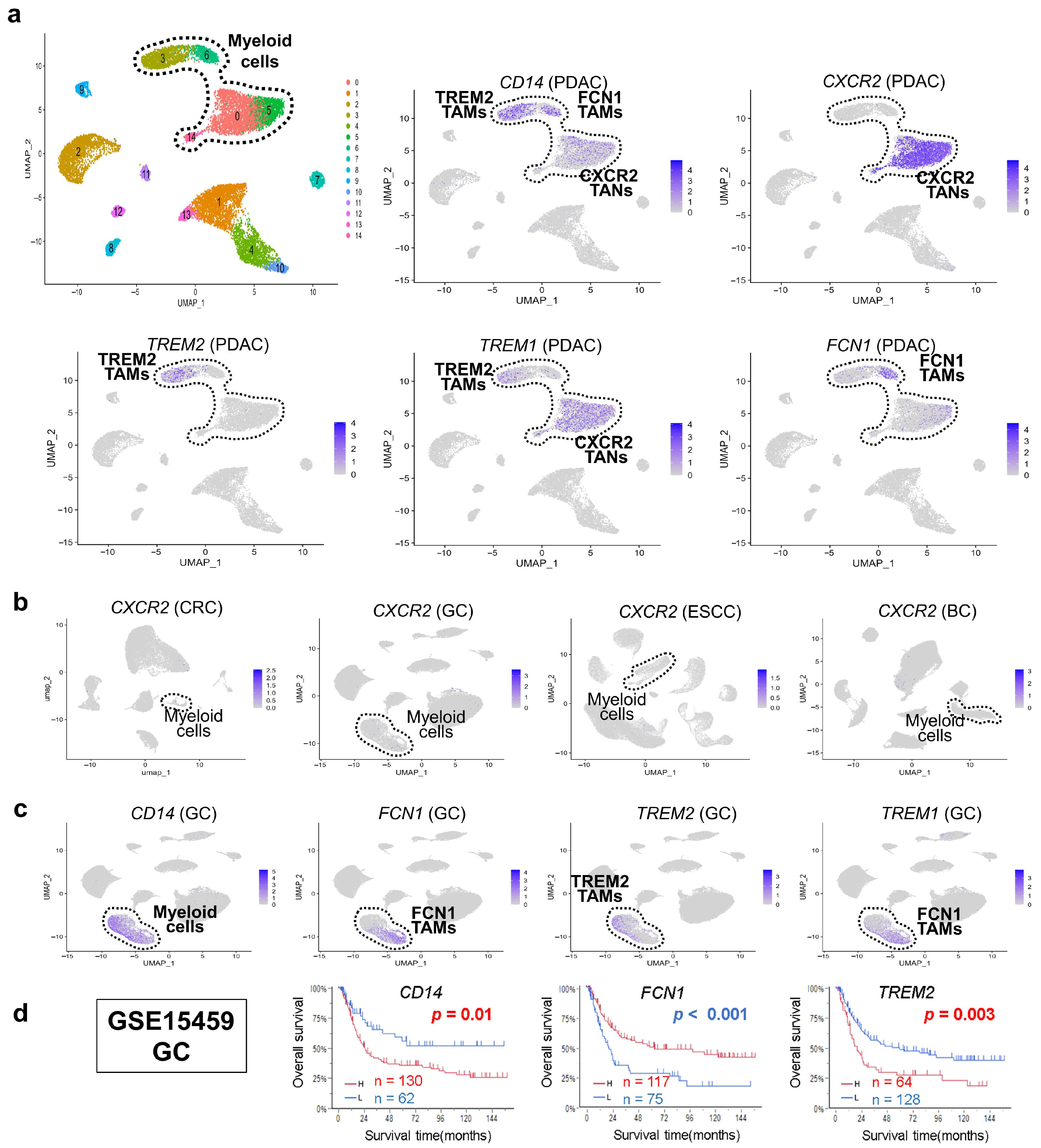 Cancers 17 03527 g002 Cancers 17 03527 g002
