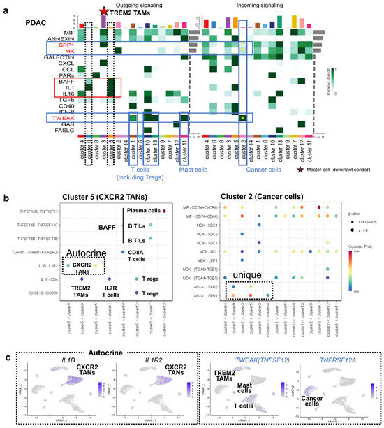 ゲームキューブ IKARUGA GameCube Nintendo For JP System 1611 gc | eBay