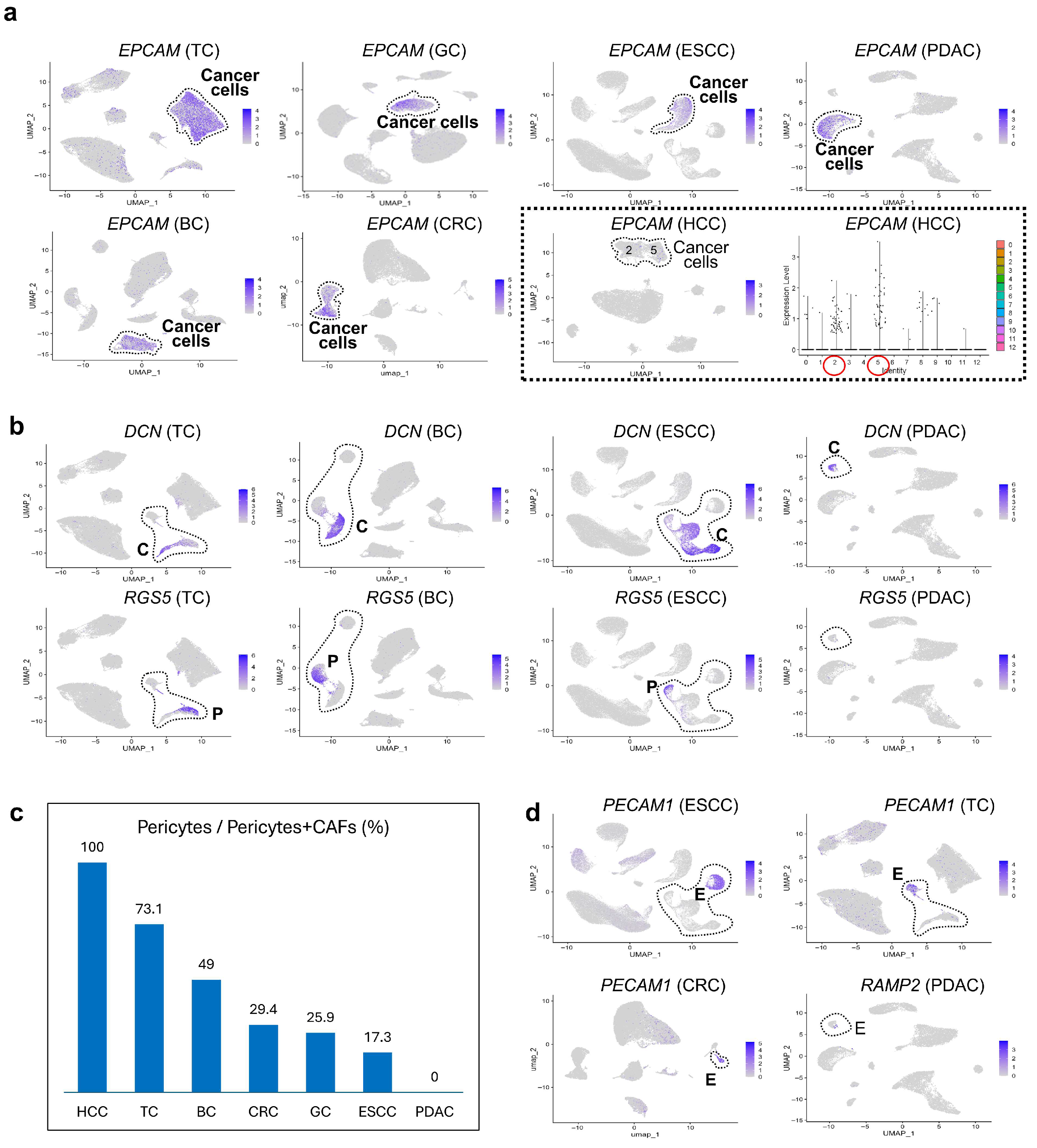 Cancers 17 03527 g004 Cancers 17 03527 g004