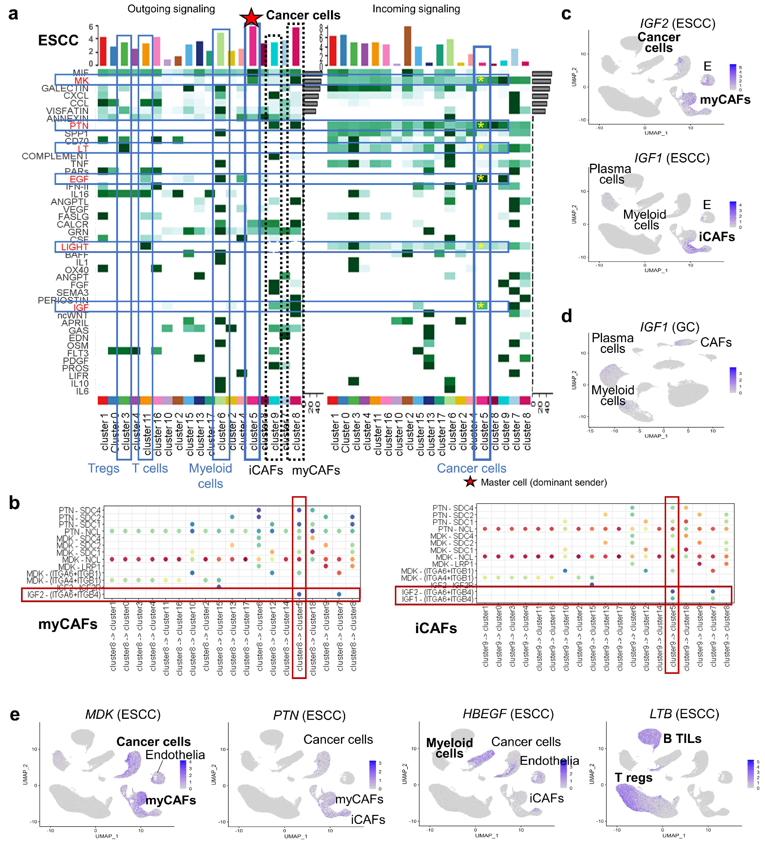 Cancers 17 03527 g005 Cancers 17 03527 g005