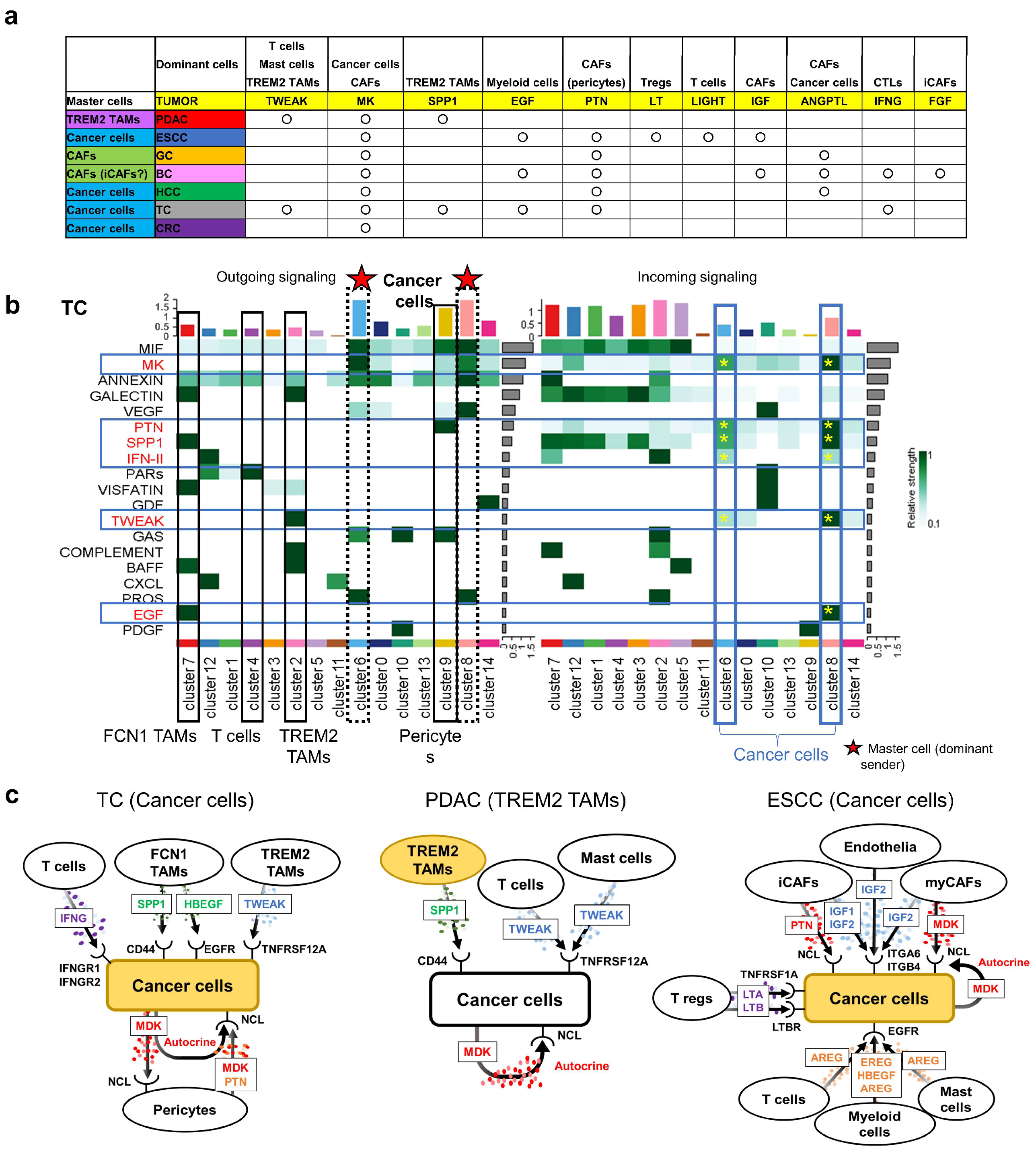 Cancers 17 03527 g006 Cancers 17 03527 g006
