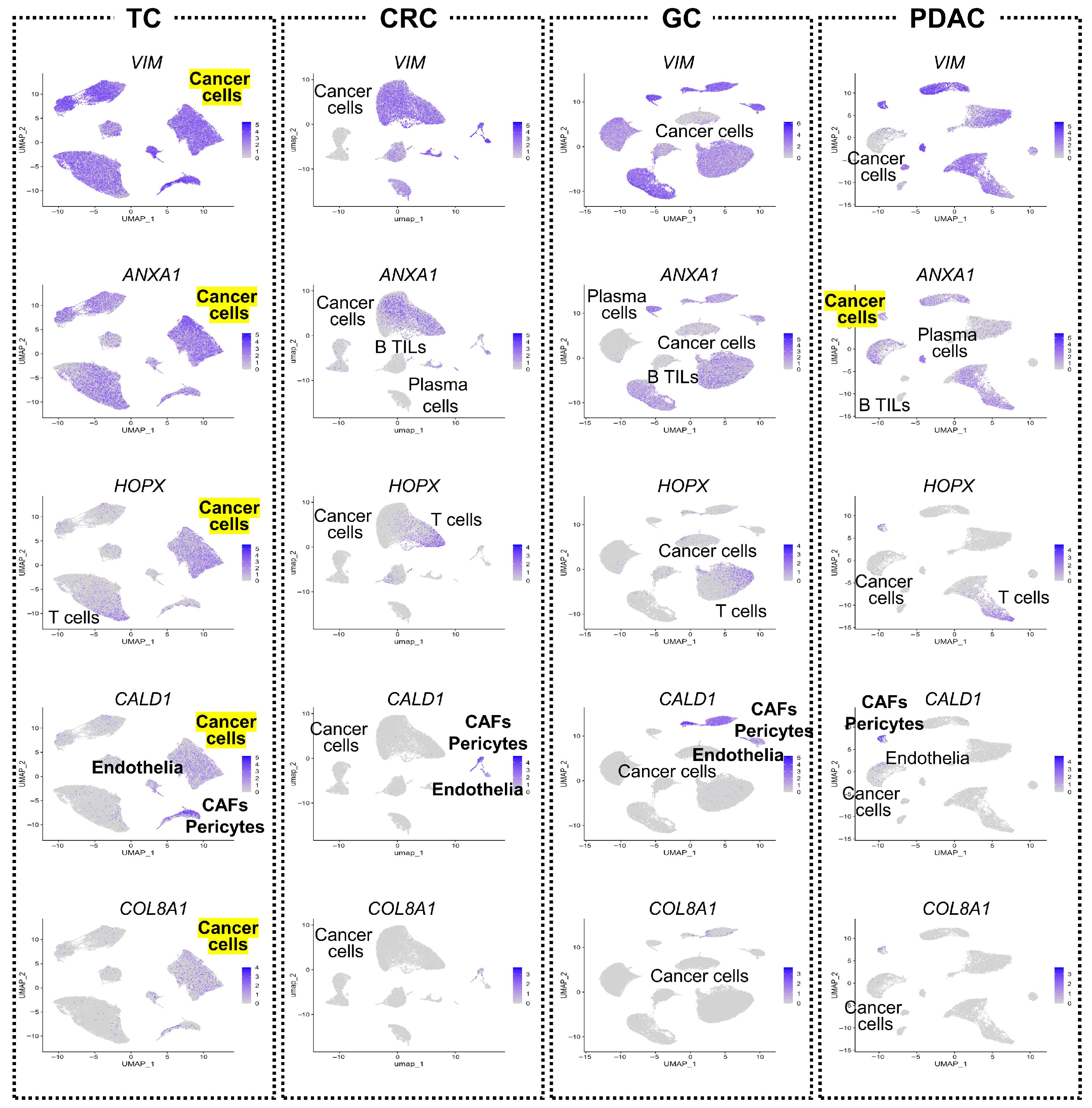 Cancers 17 03527 g007 Cancers 17 03527 g007