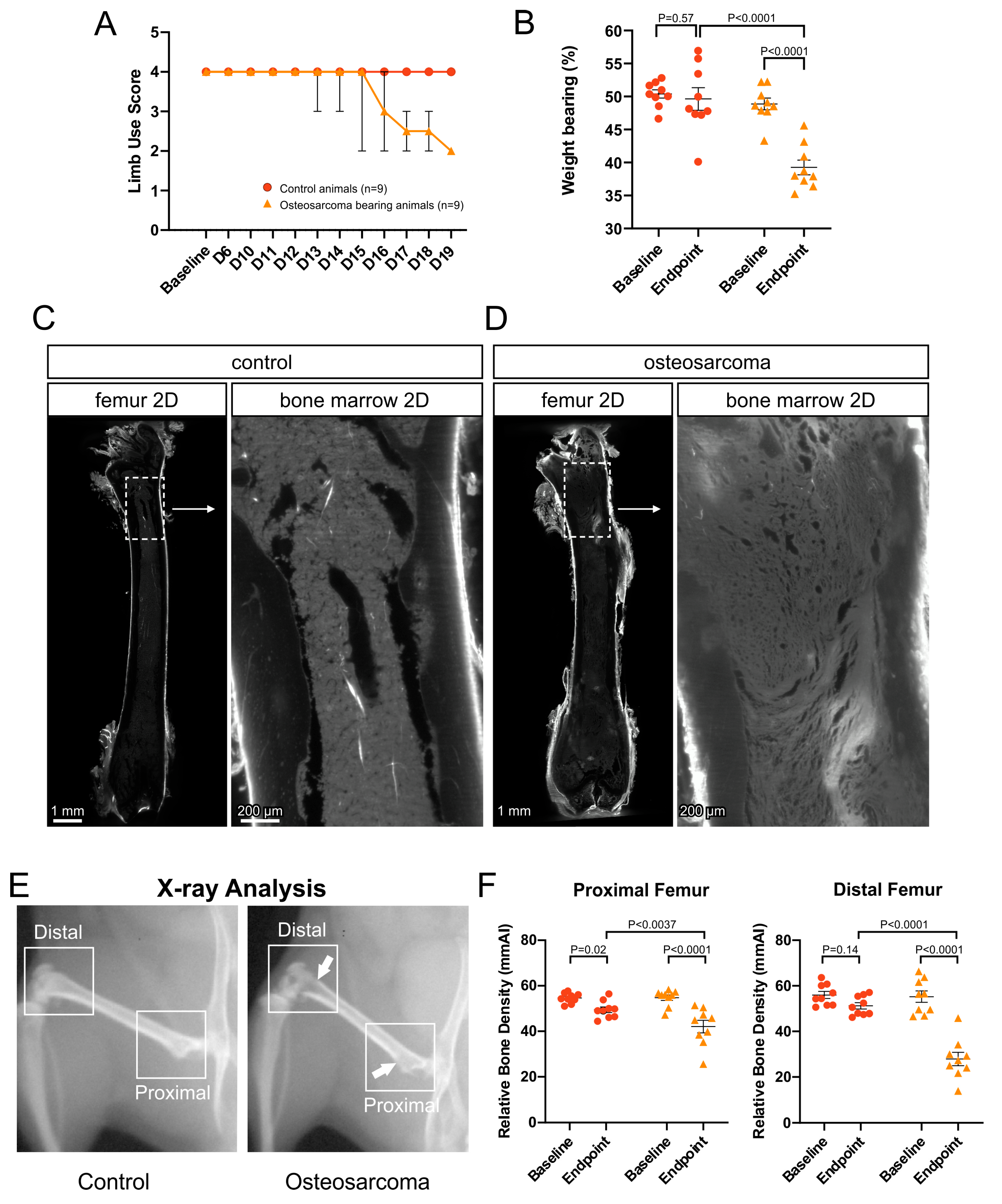 Cancers 17 03533 g001 Cancers 17 03533 g001