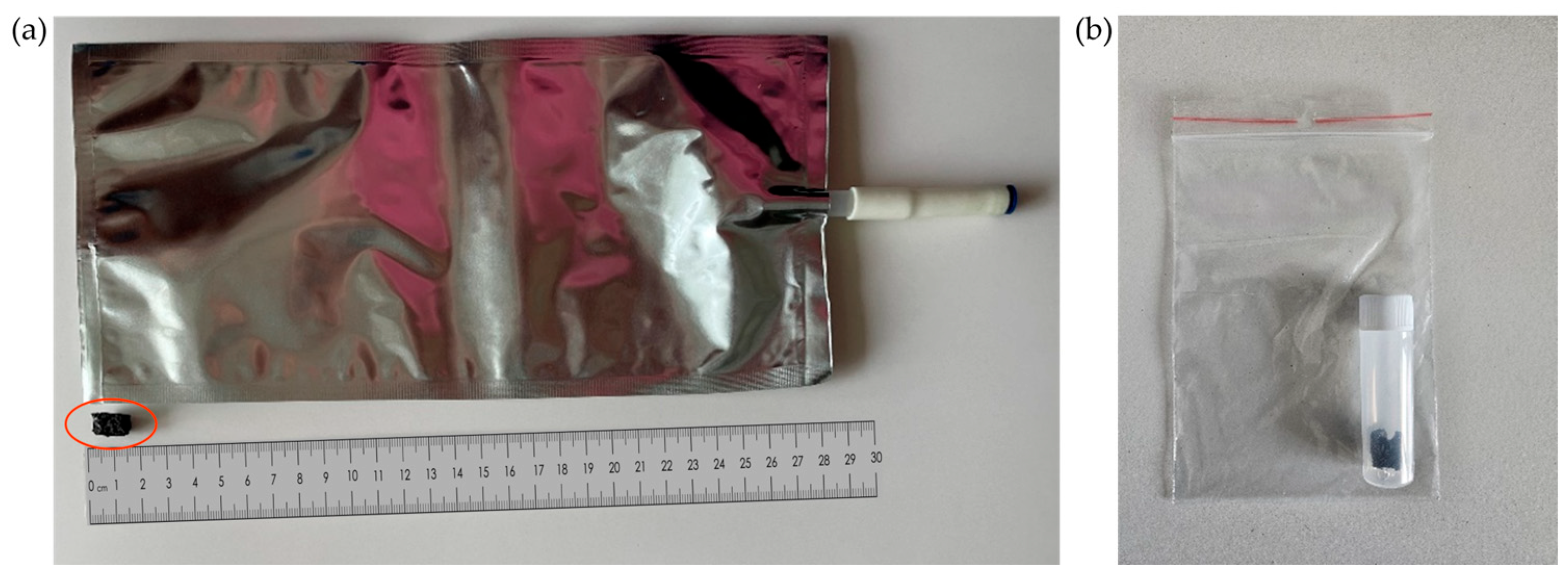 Cancers 17 03536 g001