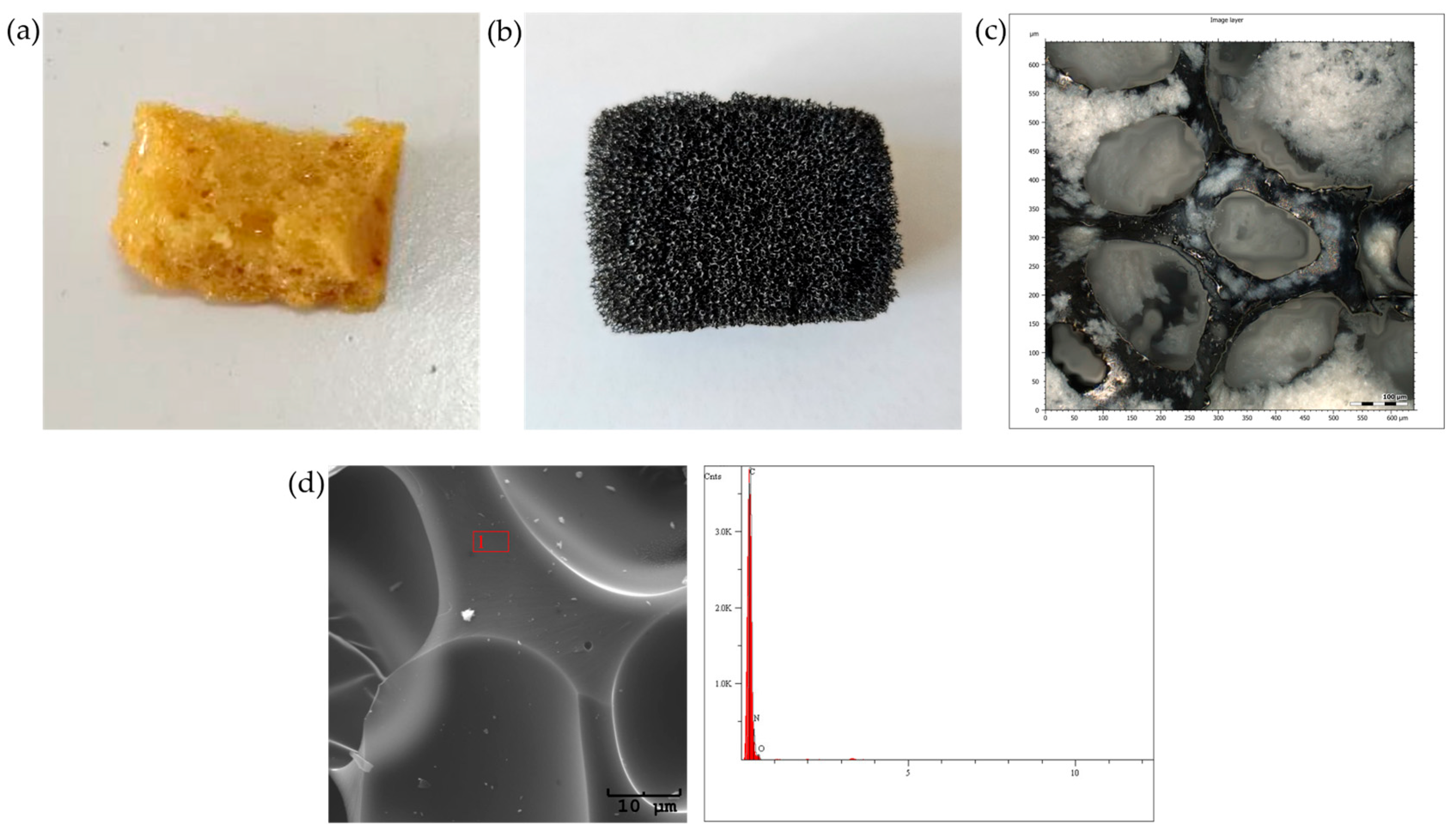 Cancers 17 03536 g002