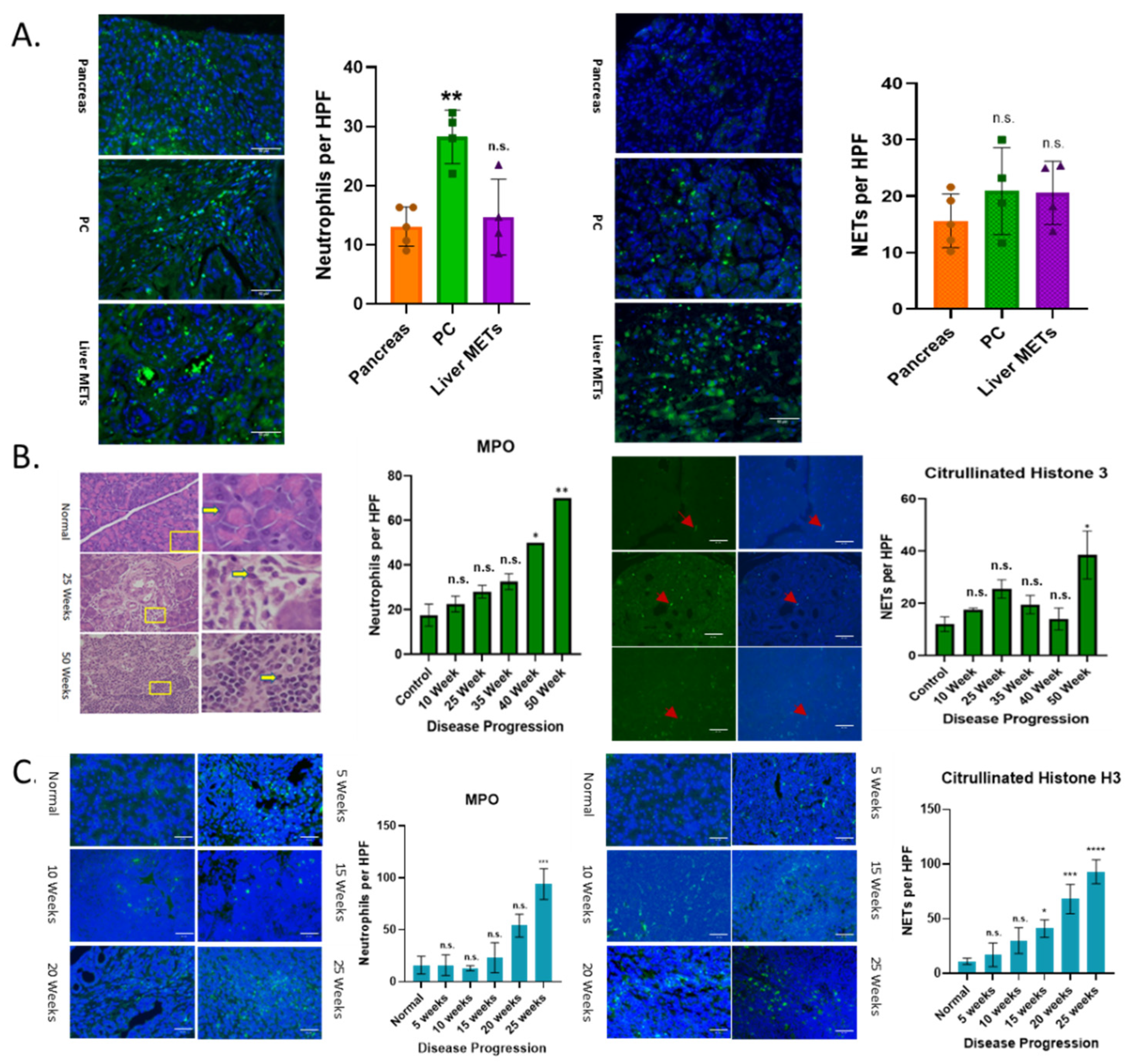 Cancers 17 03541 g001 Cancers 17 03541 g001