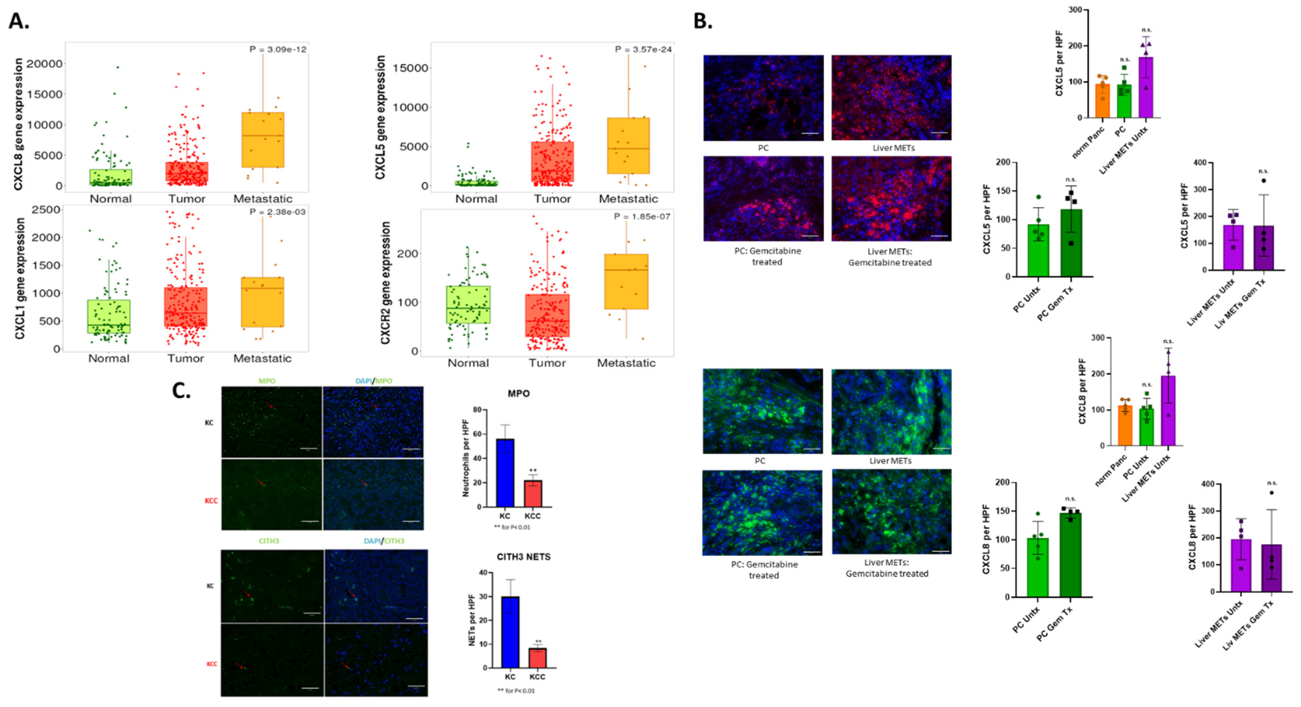 Cancers 17 03541 g002 Cancers 17 03541 g002