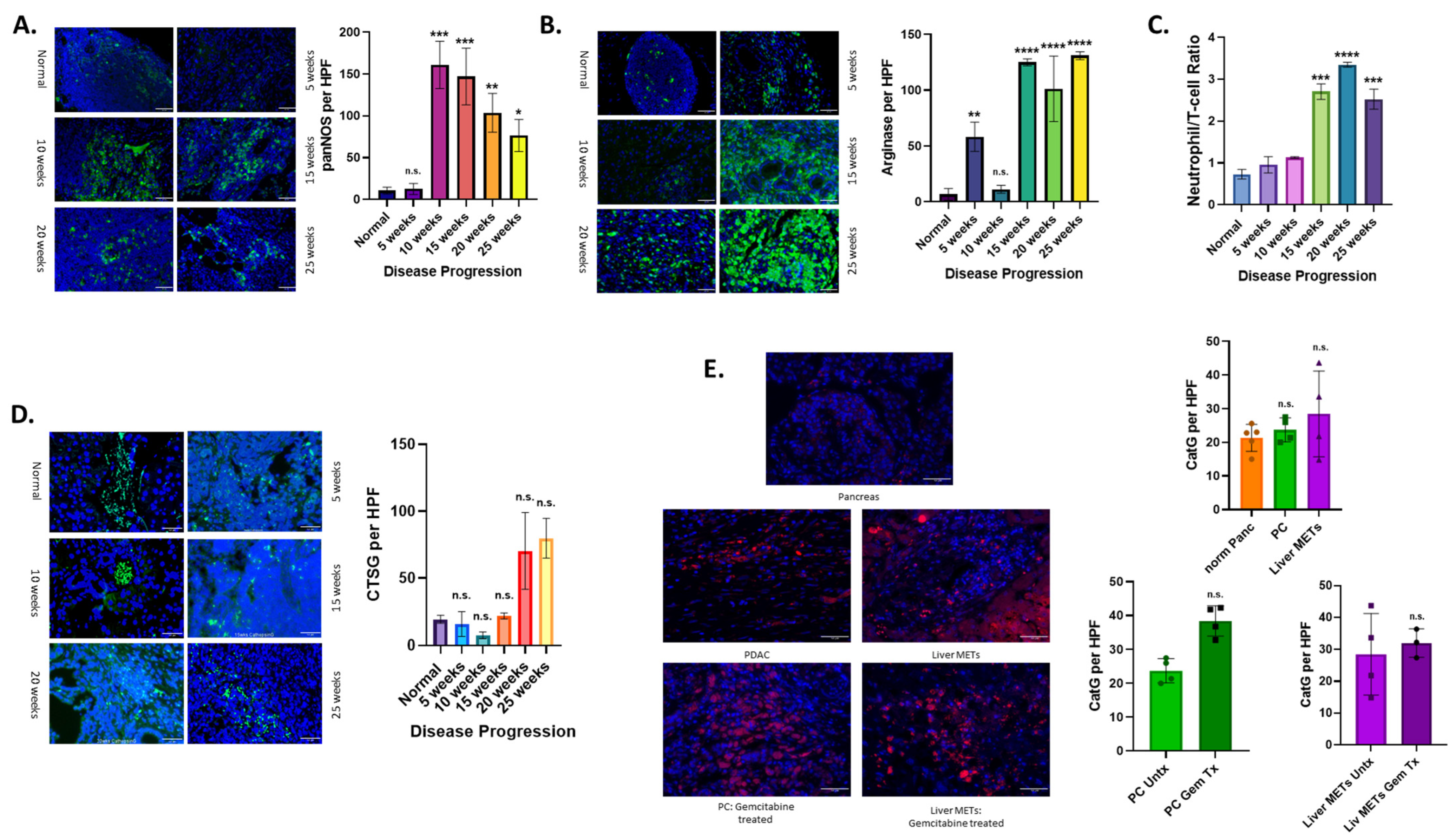 Cancers 17 03541 g004 Cancers 17 03541 g004
