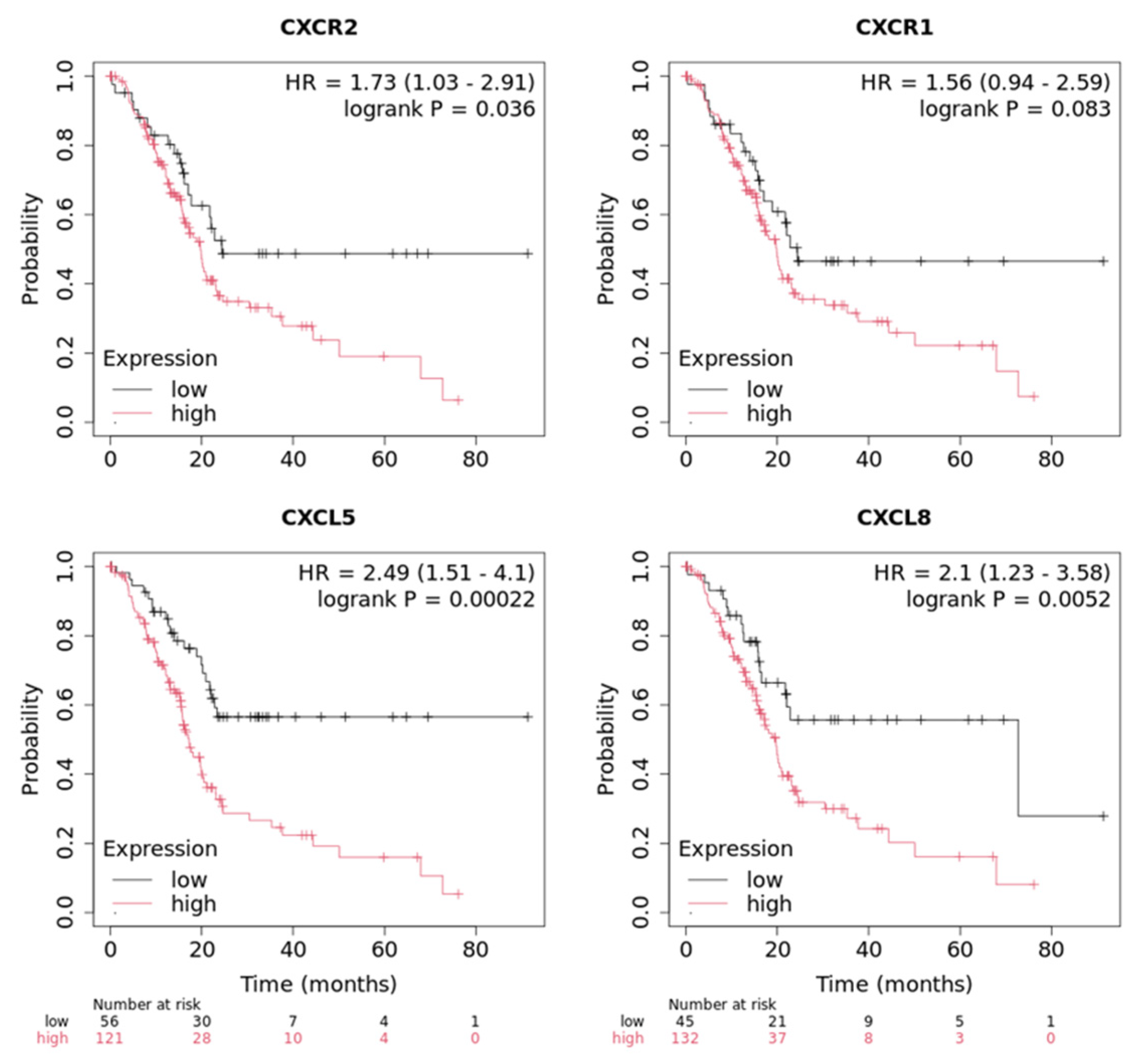 Cancers 17 03541 g005 Cancers 17 03541 g005