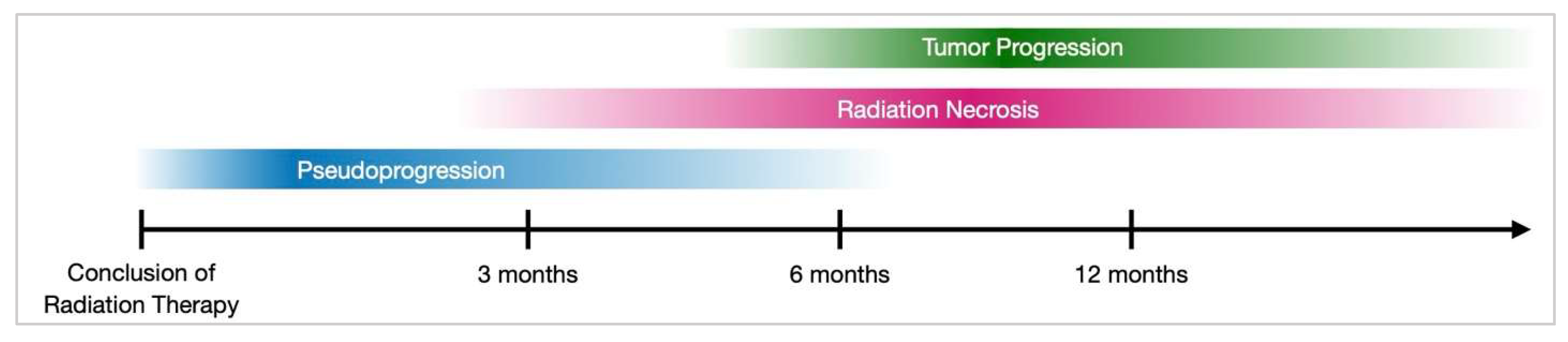 Cancers 17 03542 g003 Cancers 17 03542 g003