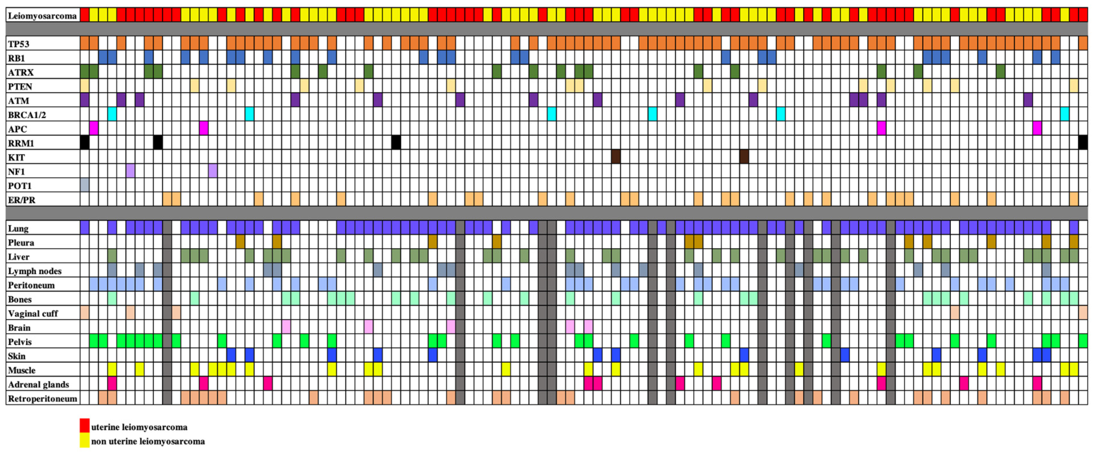 Cancers 17 03544 g001