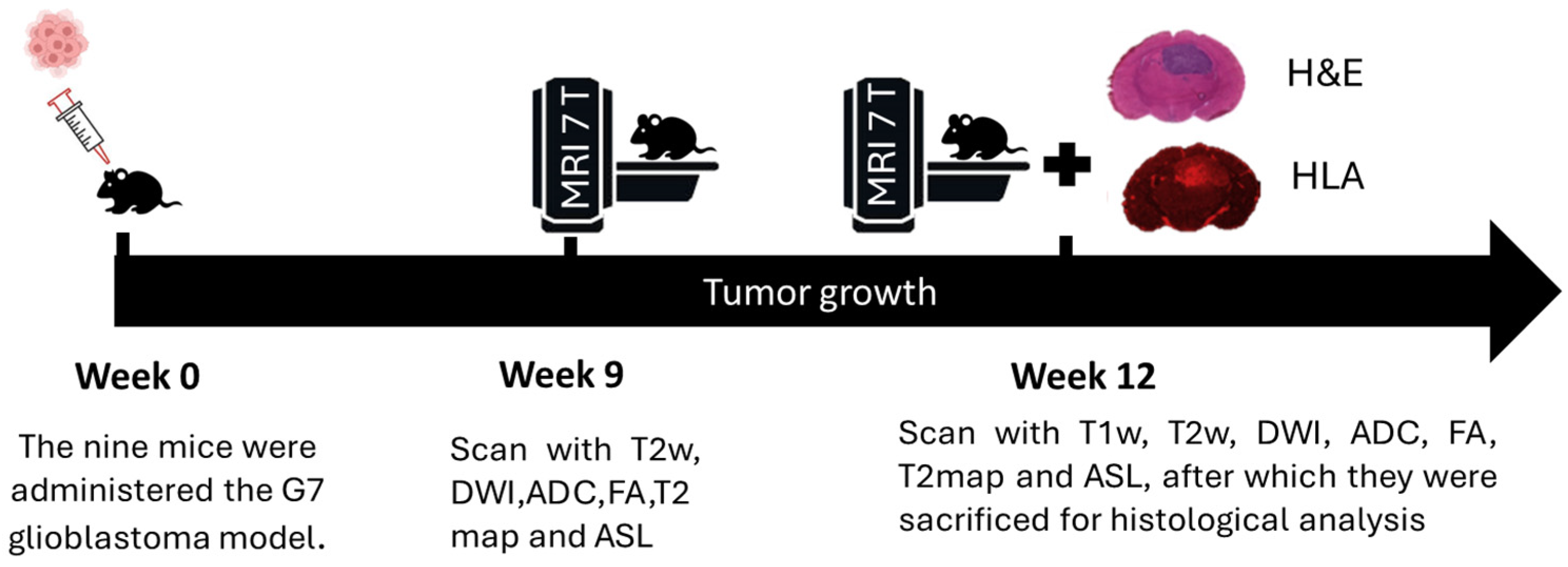 Cancers 17 03545 g001