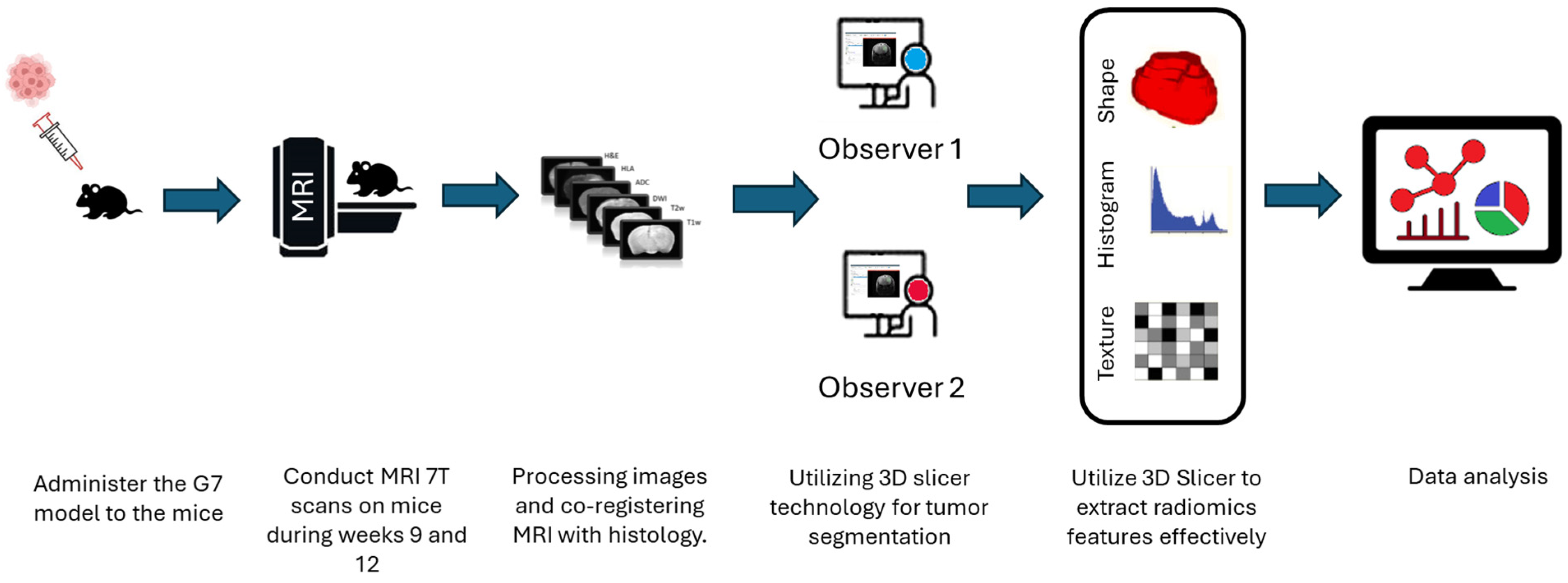 Cancers 17 03545 g003