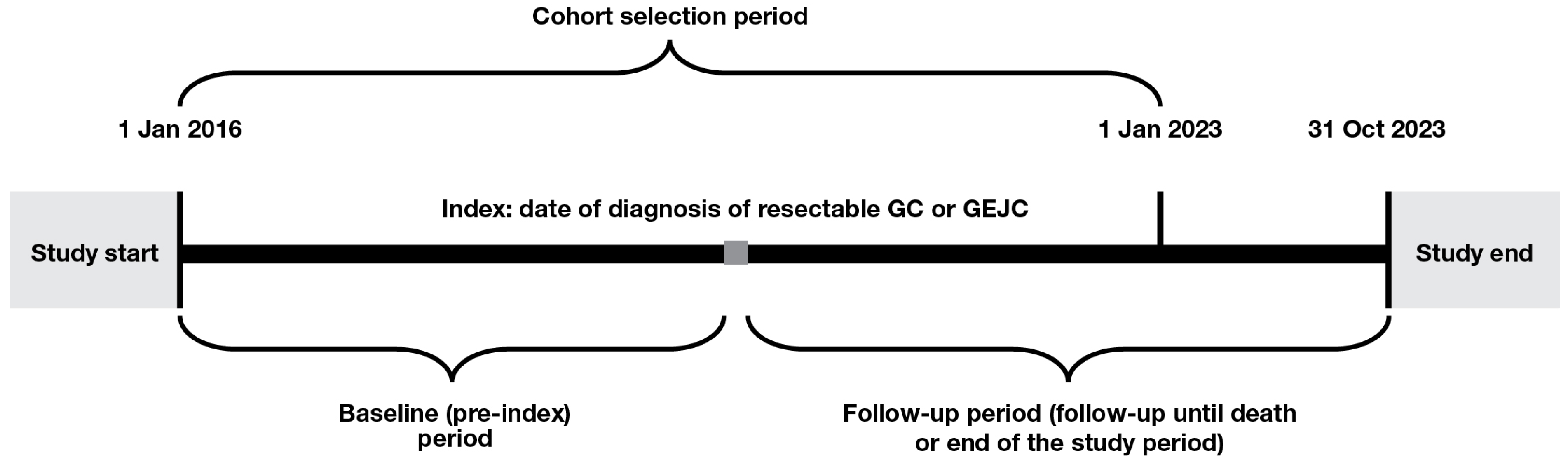Cancers 17 03546 g001