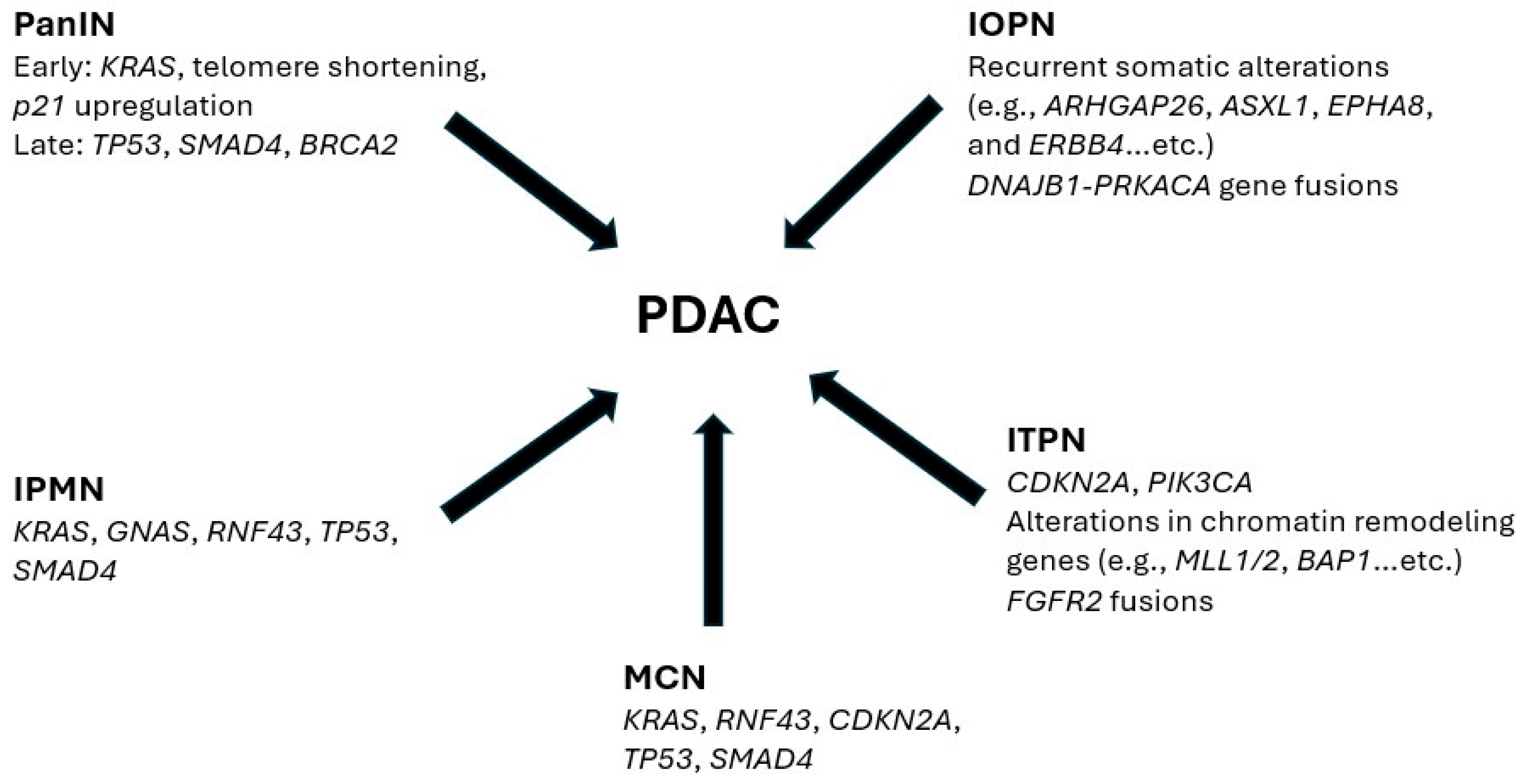 Cancers 17 03549 g001