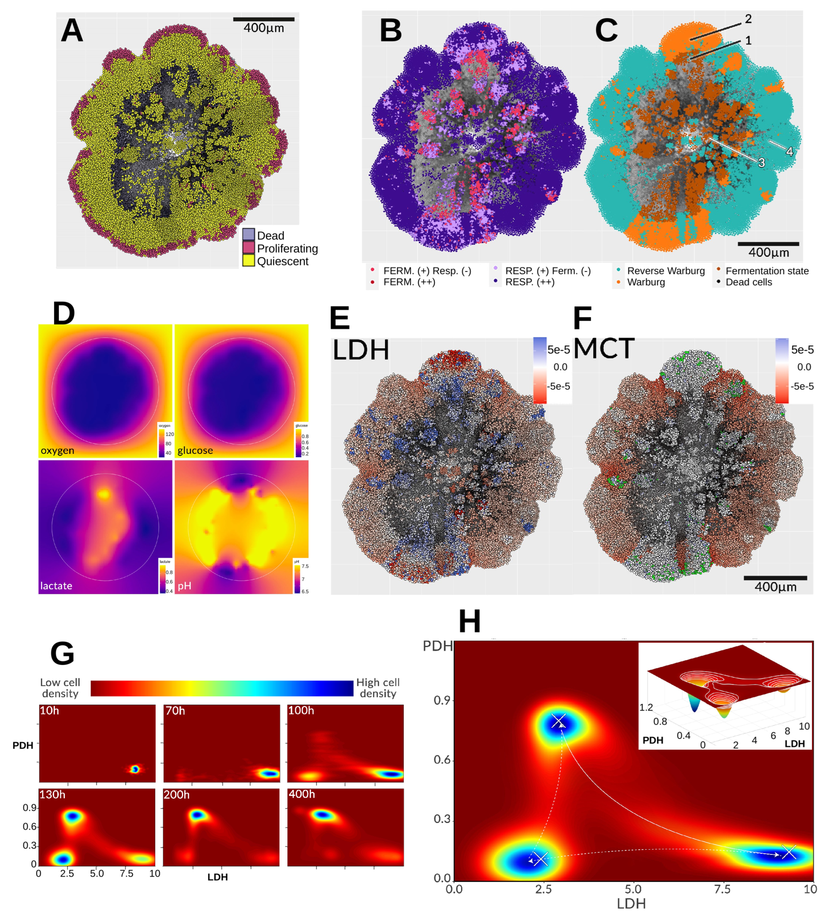 Cancers 17 03563 g006