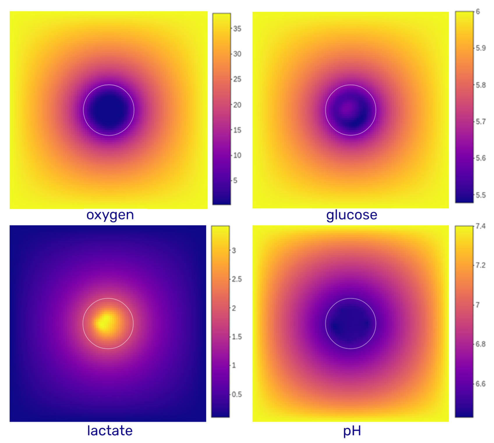 Cancers 17 03563 g0a1