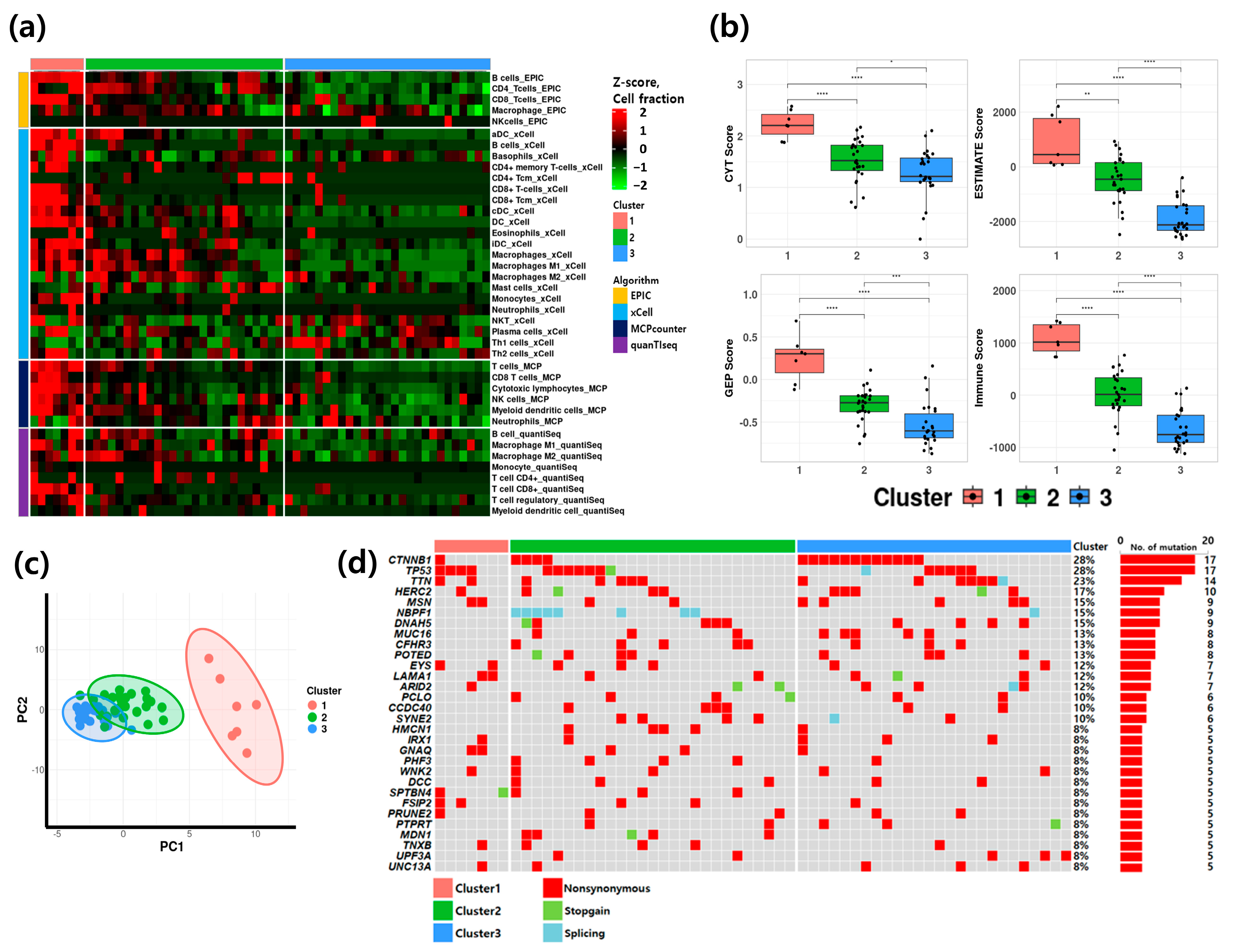 Cancers 17 03565 g002 Cancers 17 03565 g002