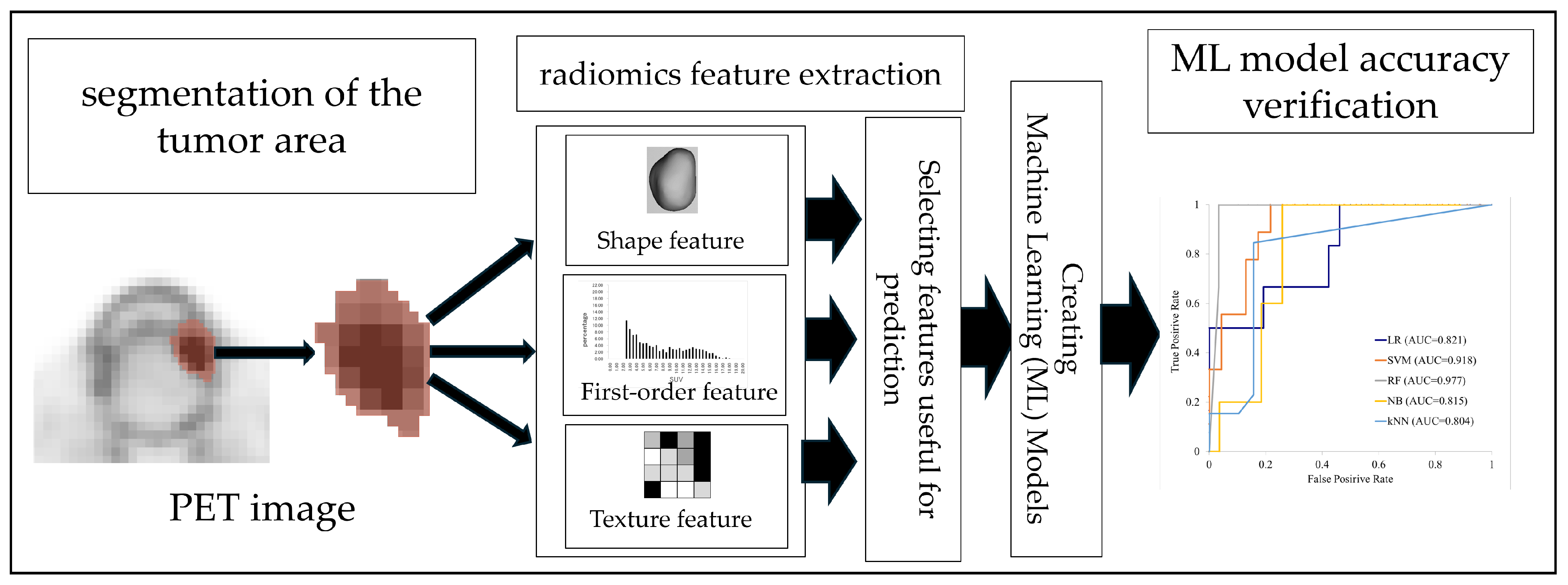 Cancers 17 03573 g001