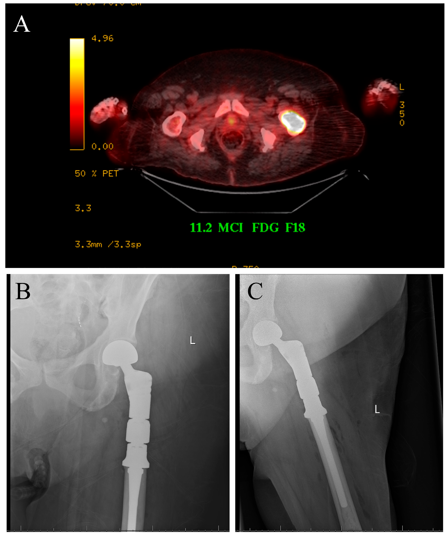 Cancers 17 03578 g001