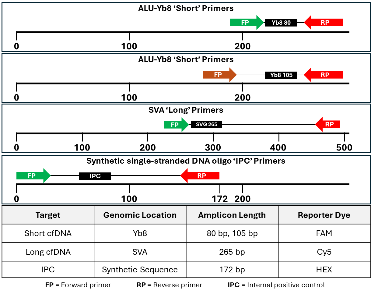 Cancers 17 03583 g002 Cancers 17 03583 g002
