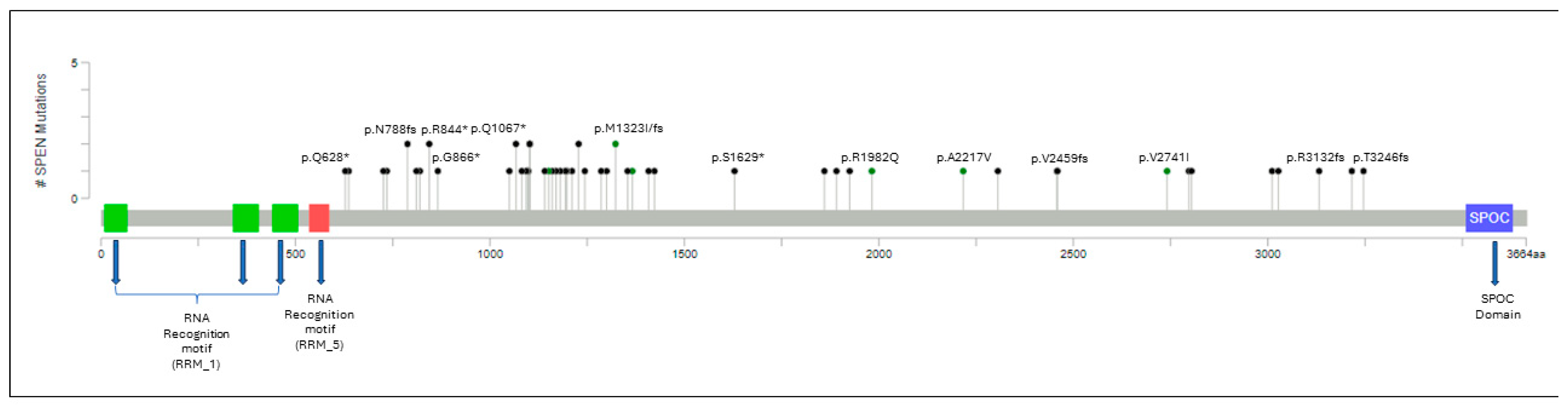 Cancers 17 03586 g001 Cancers 17 03586 g001
